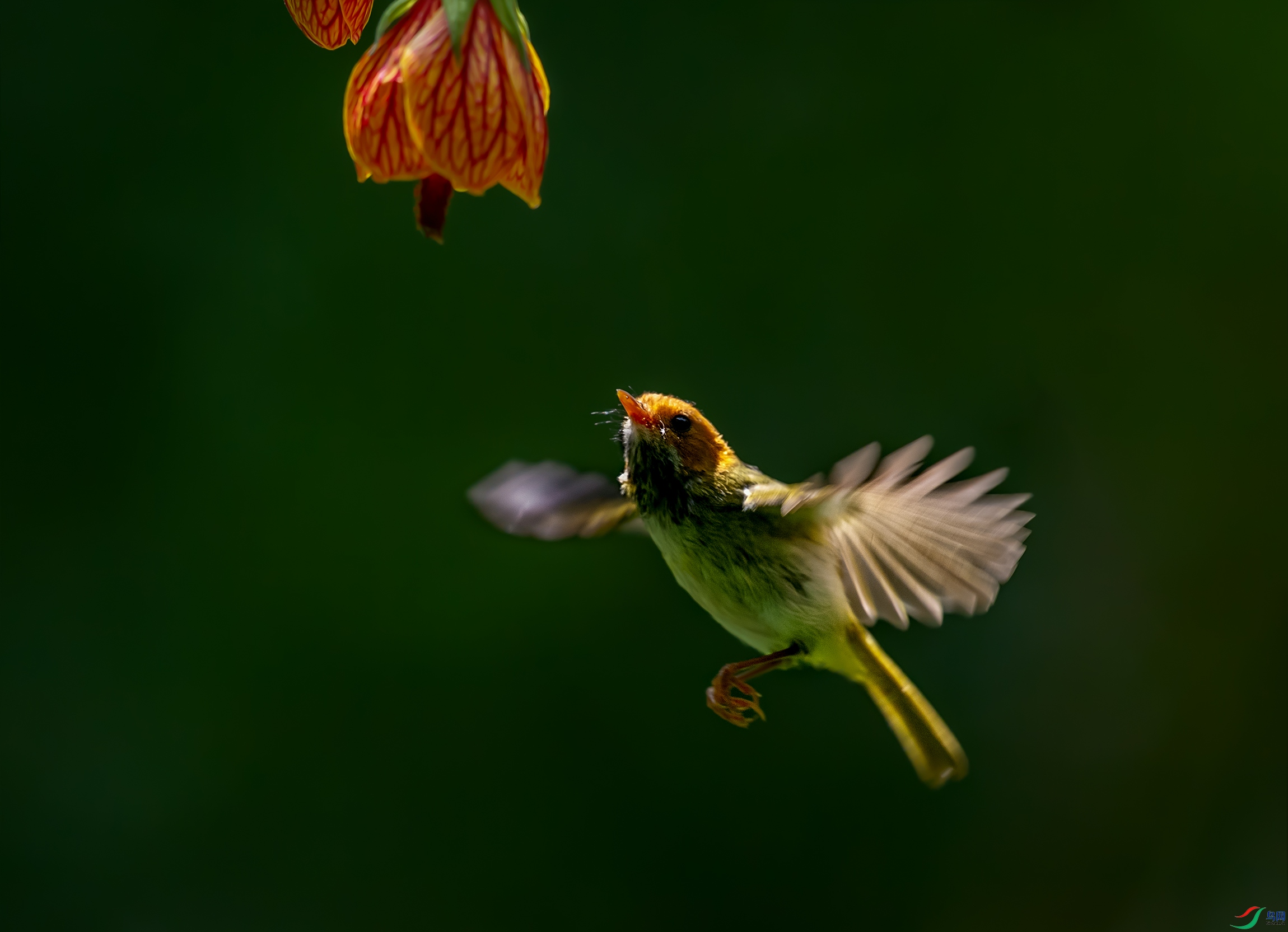 DSC_7950.jpg