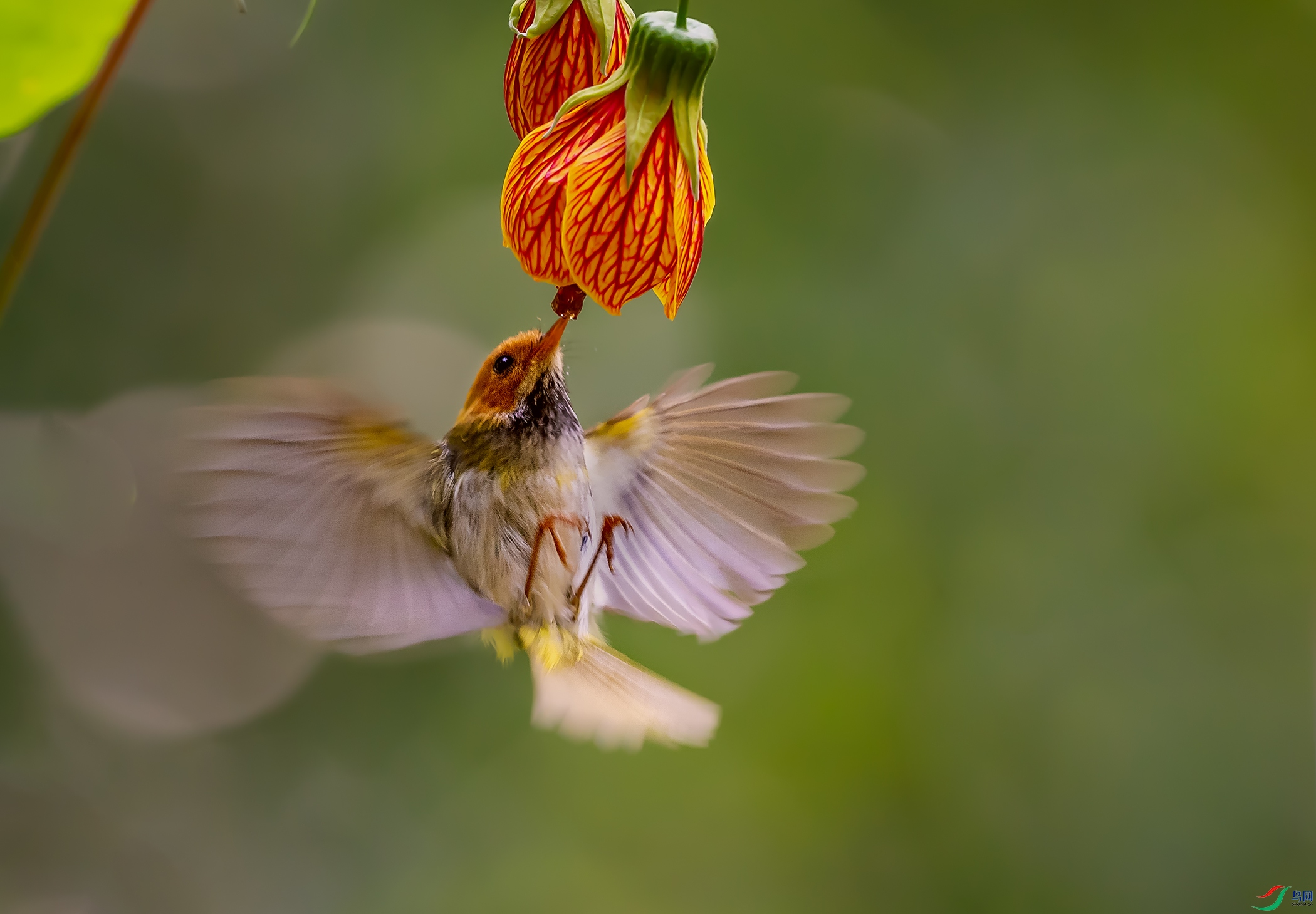 DSC_7984.jpg