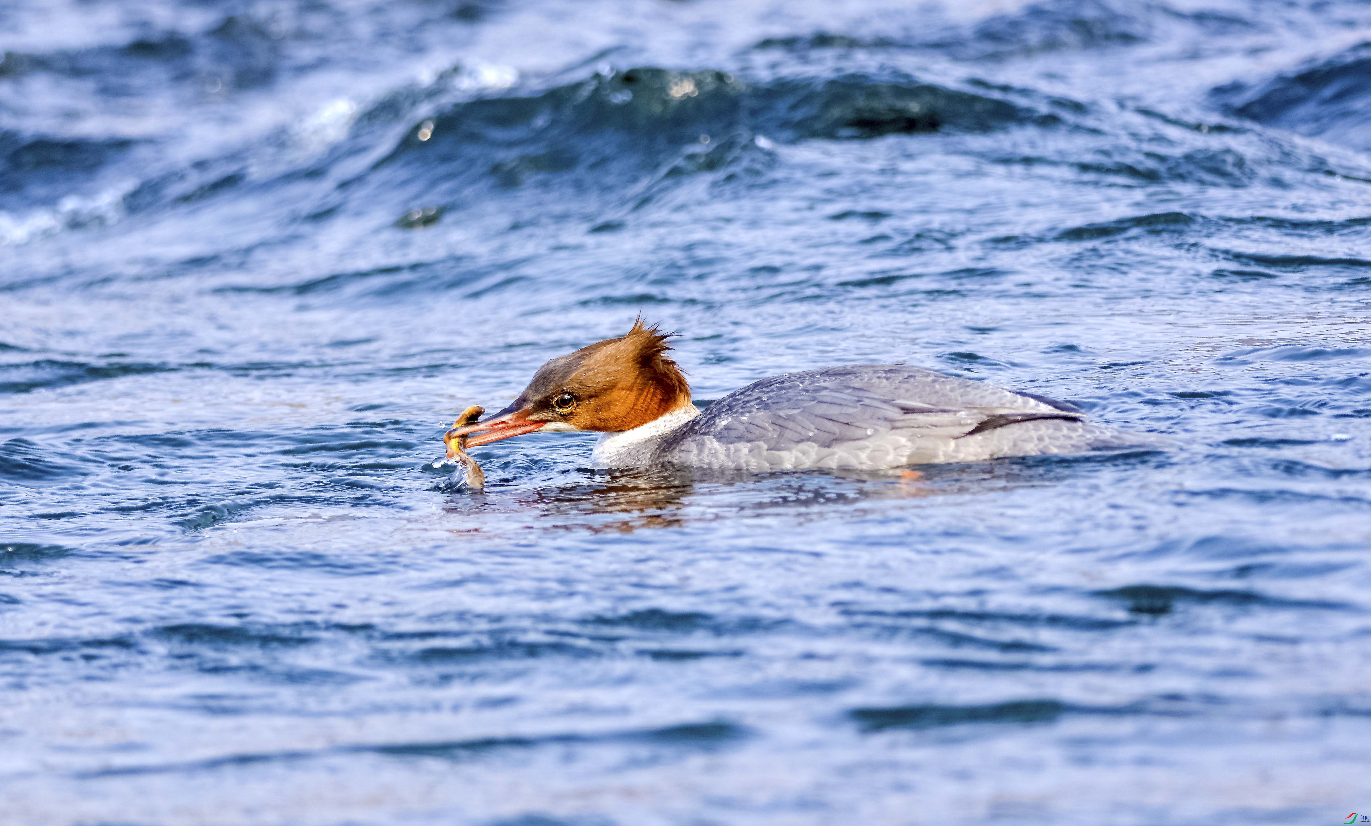 DSC_4891.jpg