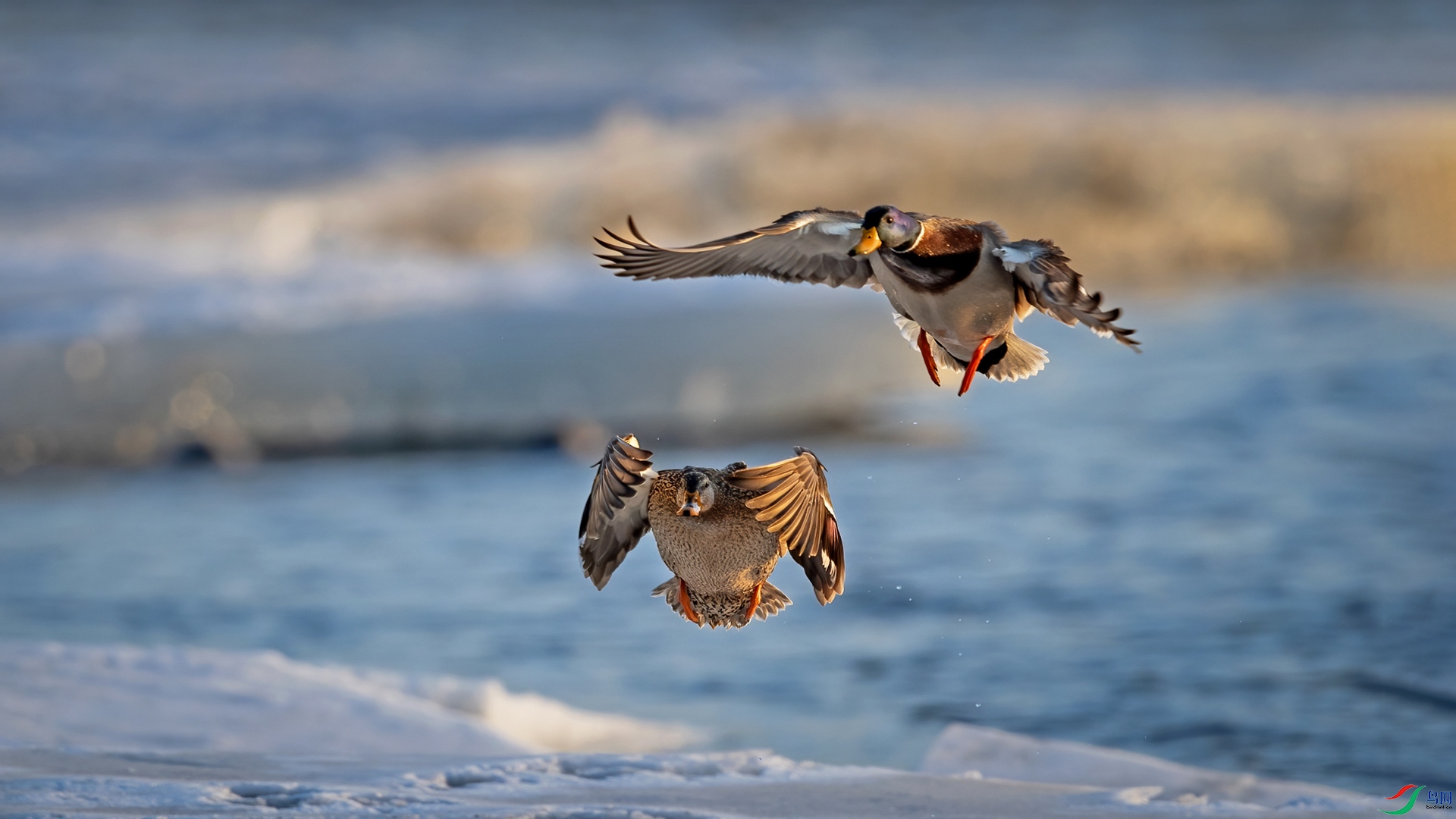 ���� ���� ����.jpg