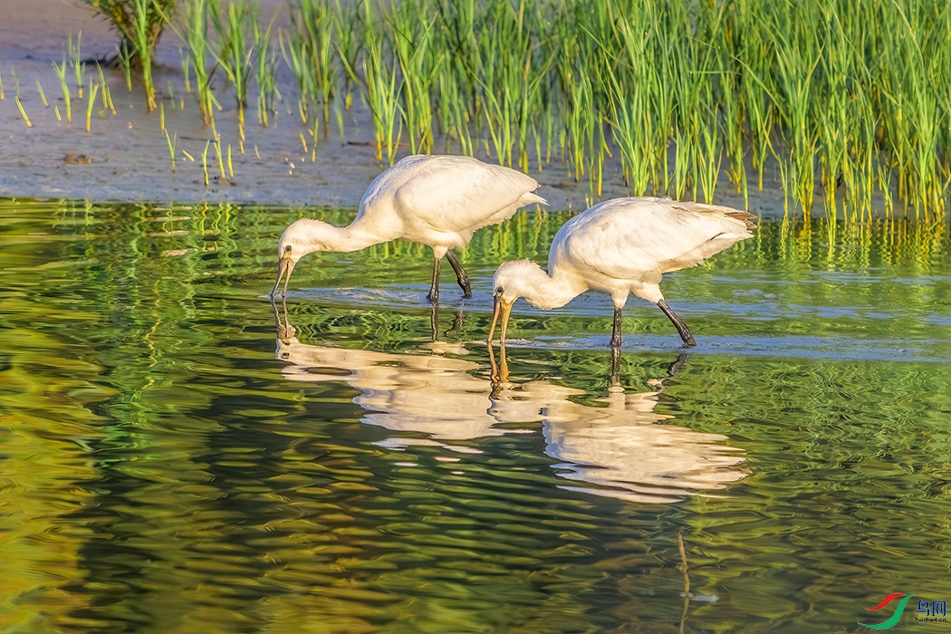 DSC_8713b.jpg