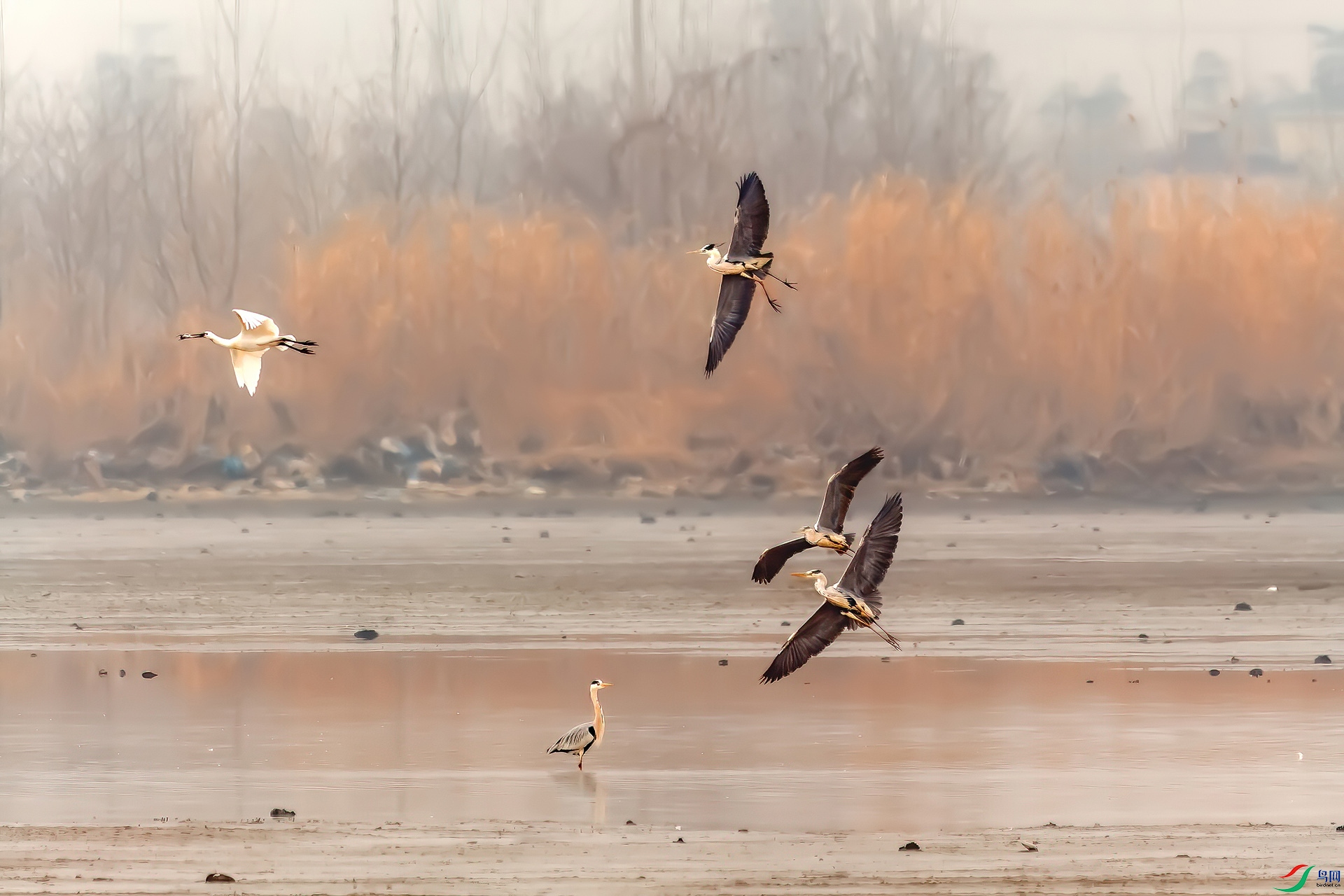 _MG_1048-CR2_DxO_(1920).jpg