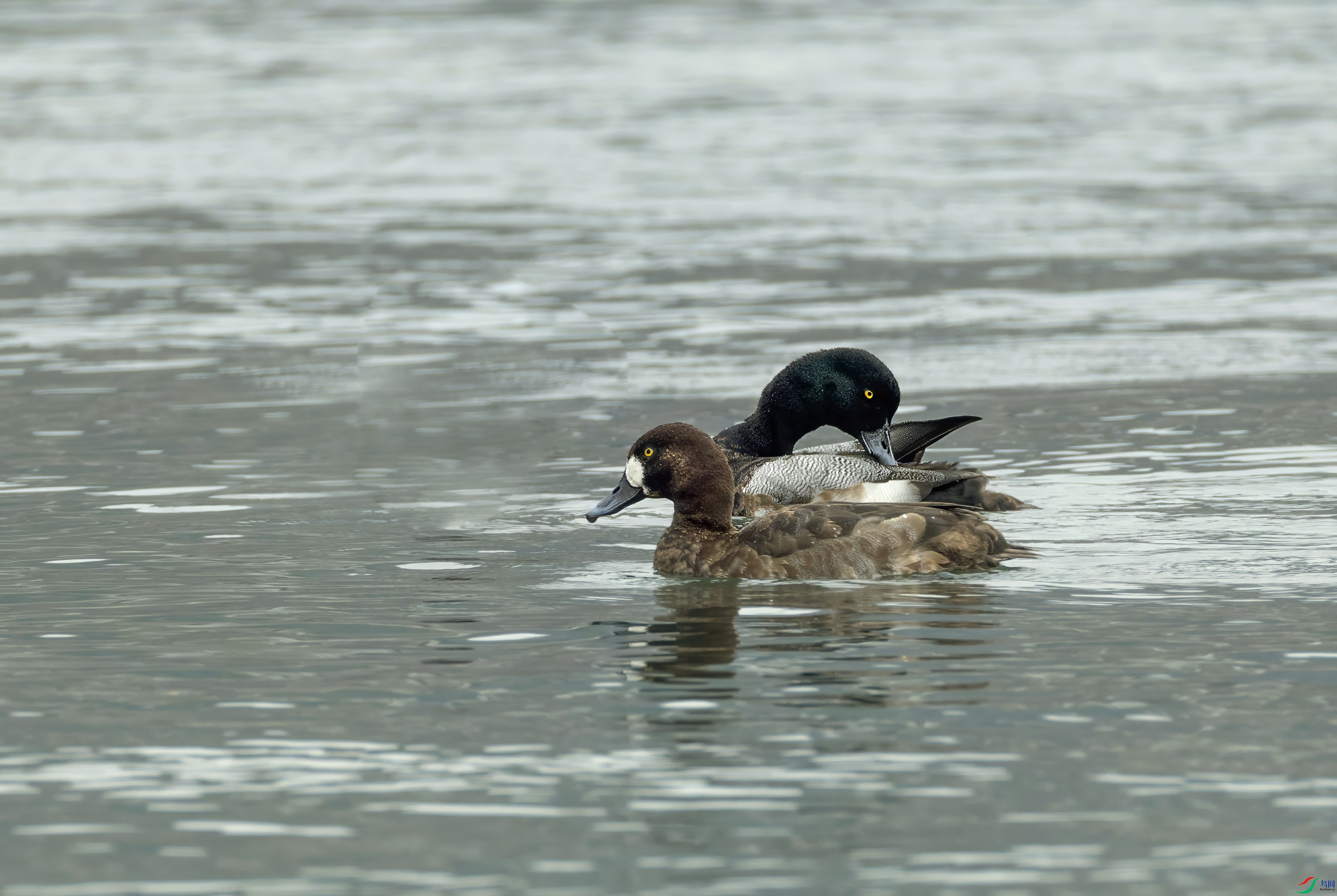 5N9A5743 ���� 3.jpg