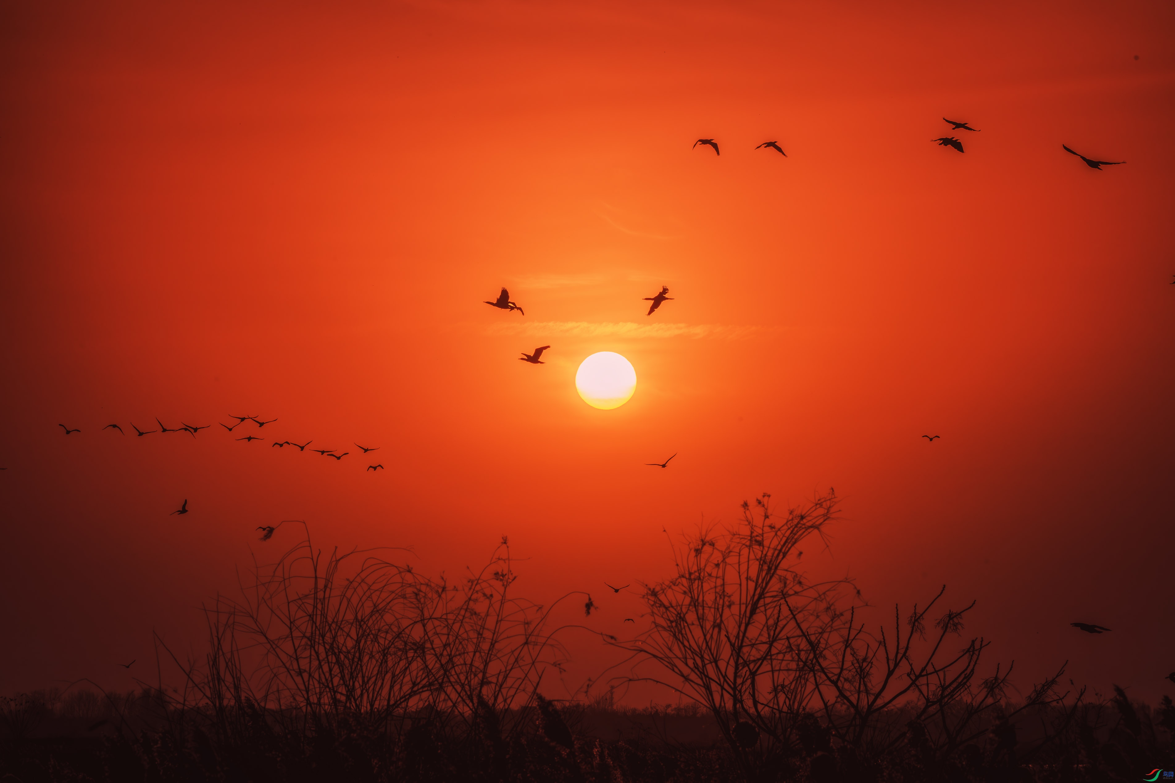 DSC_9974-����ǿ-NR ����.jpg