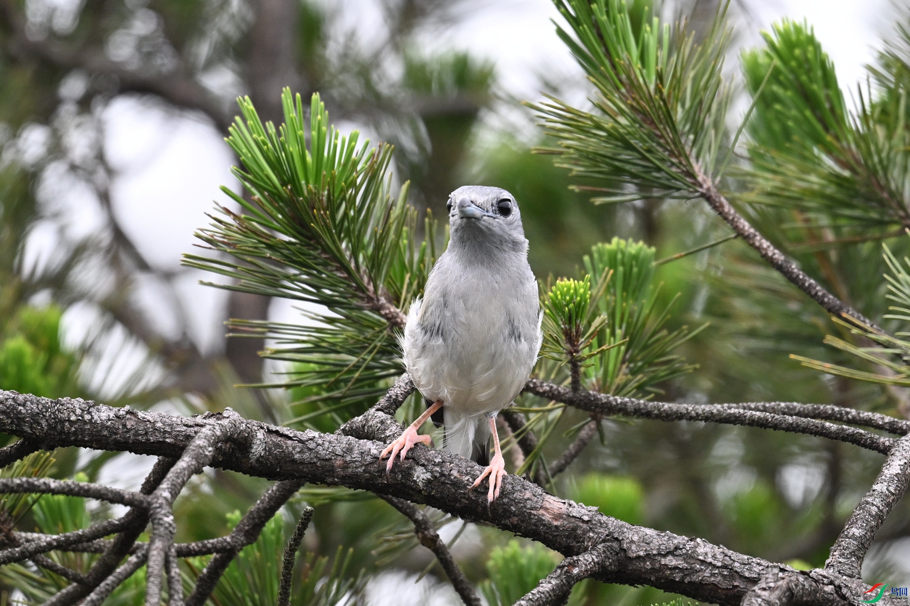 DSC_0709.JPG