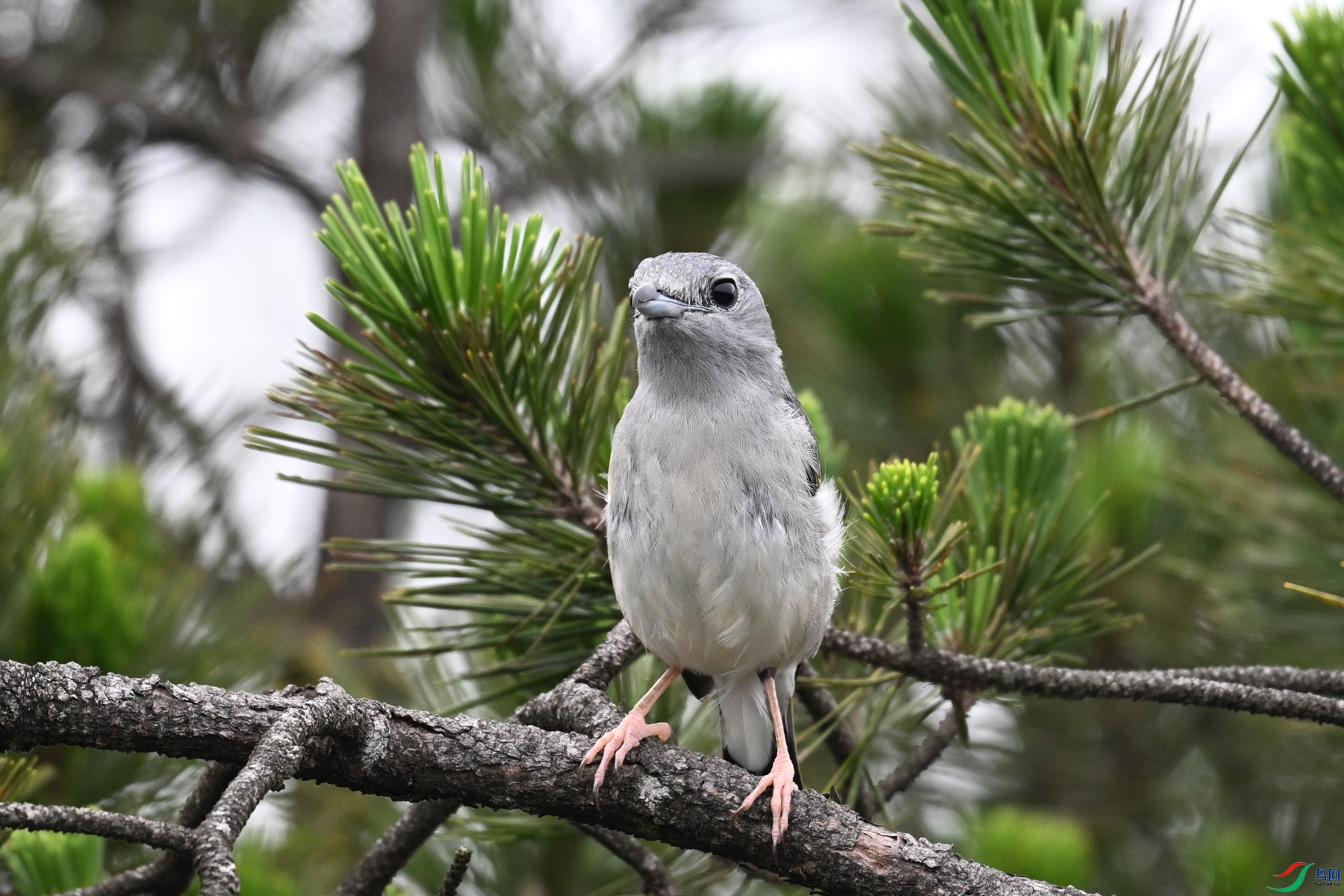 DSC_0739.JPG