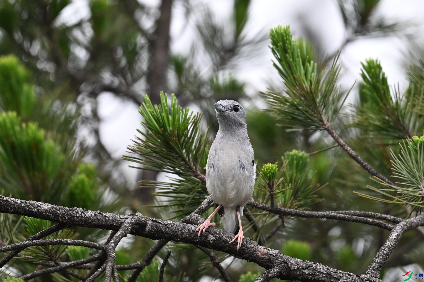 DSC_0715.JPG