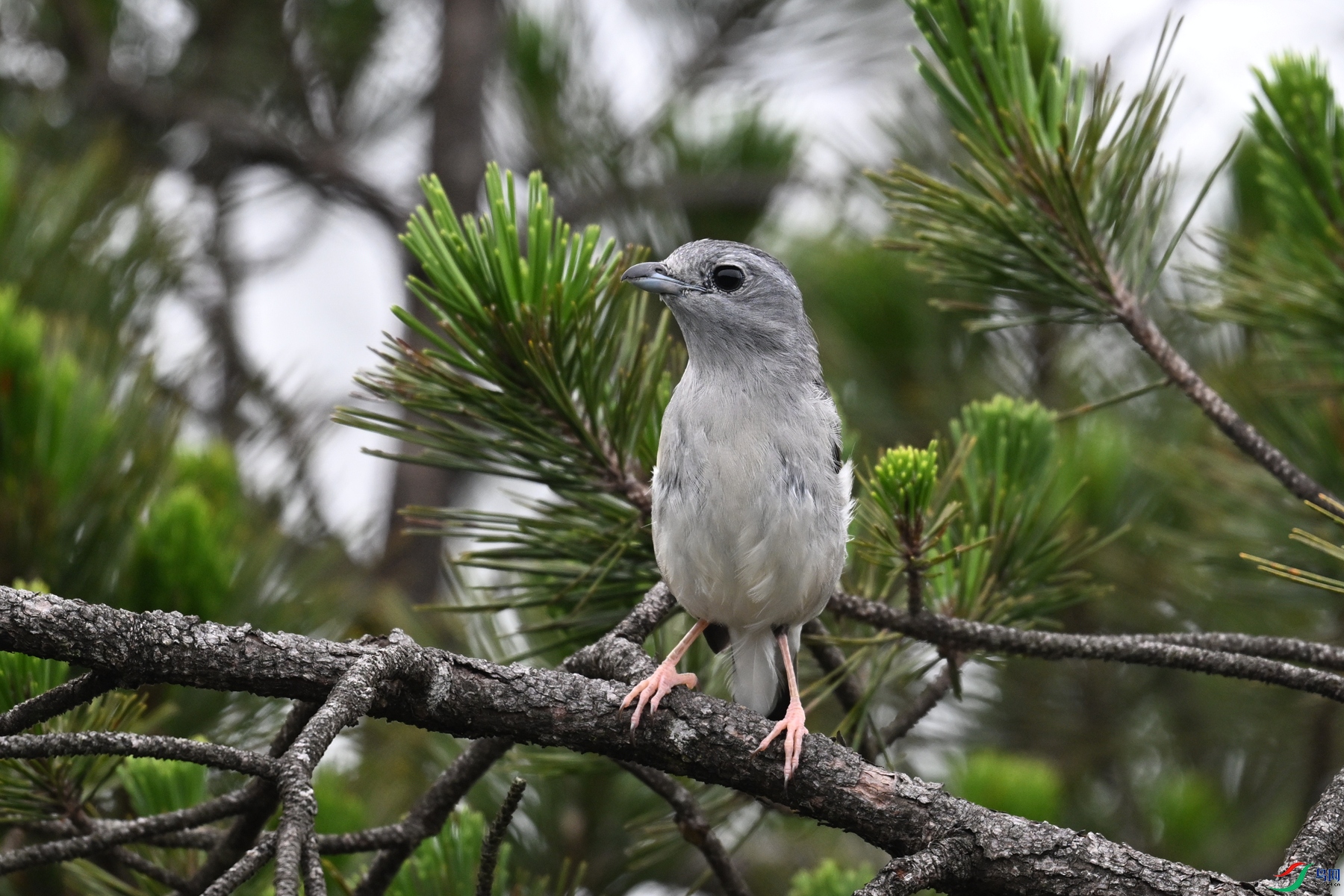 DSC_0731.JPG