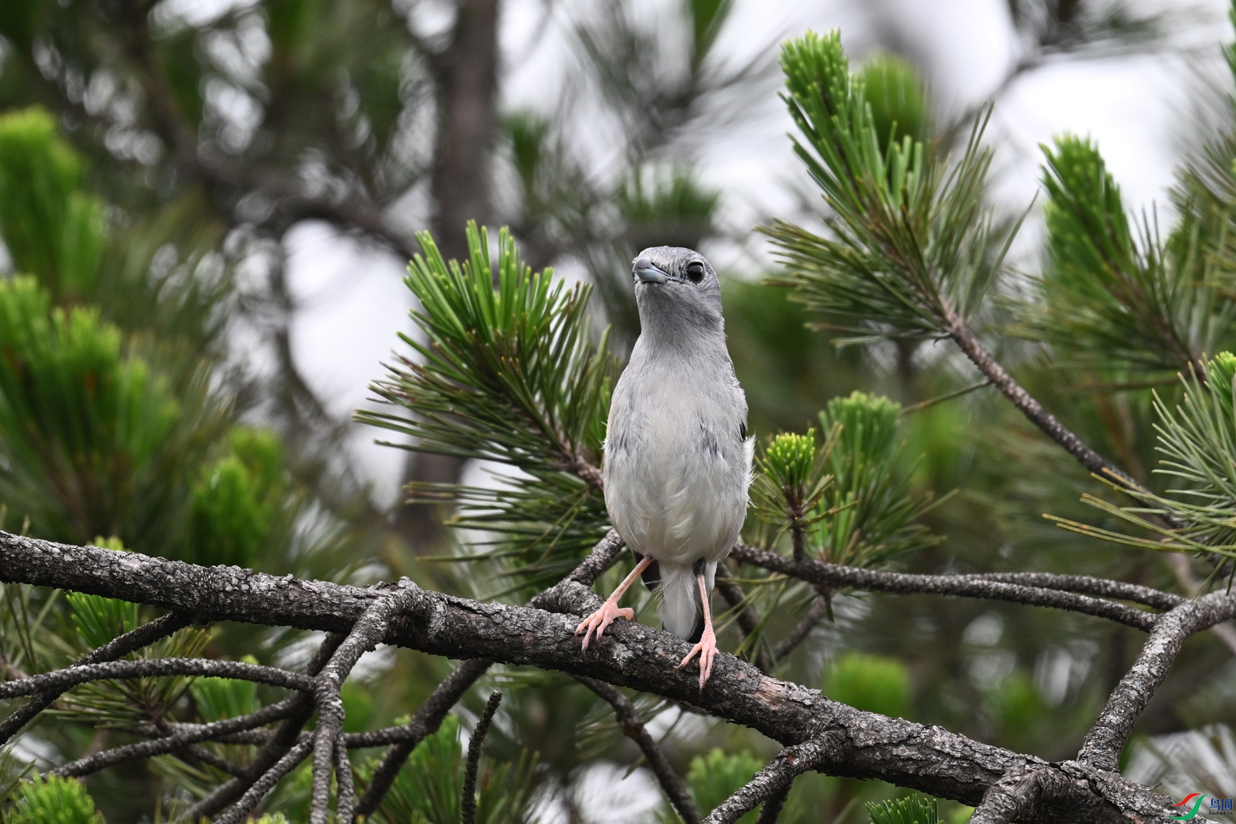 DSC_0717.JPG