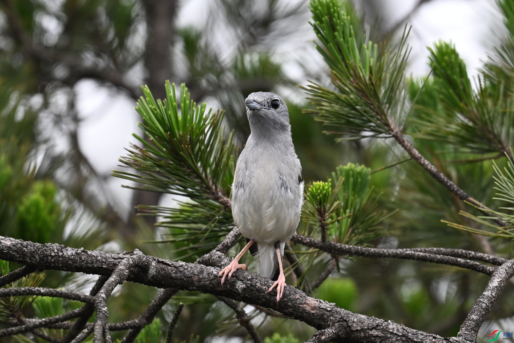 DSC_0719.JPG