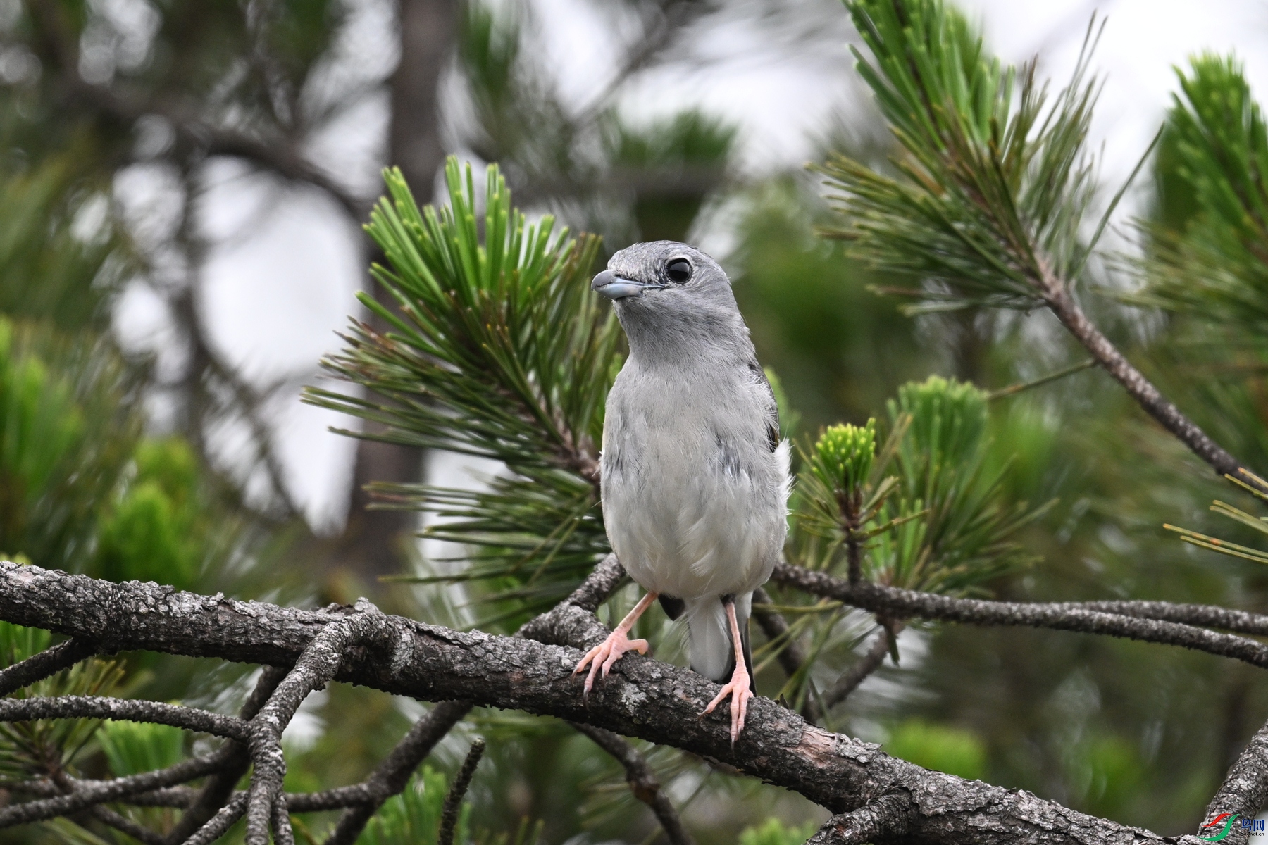 DSC_0735.JPG