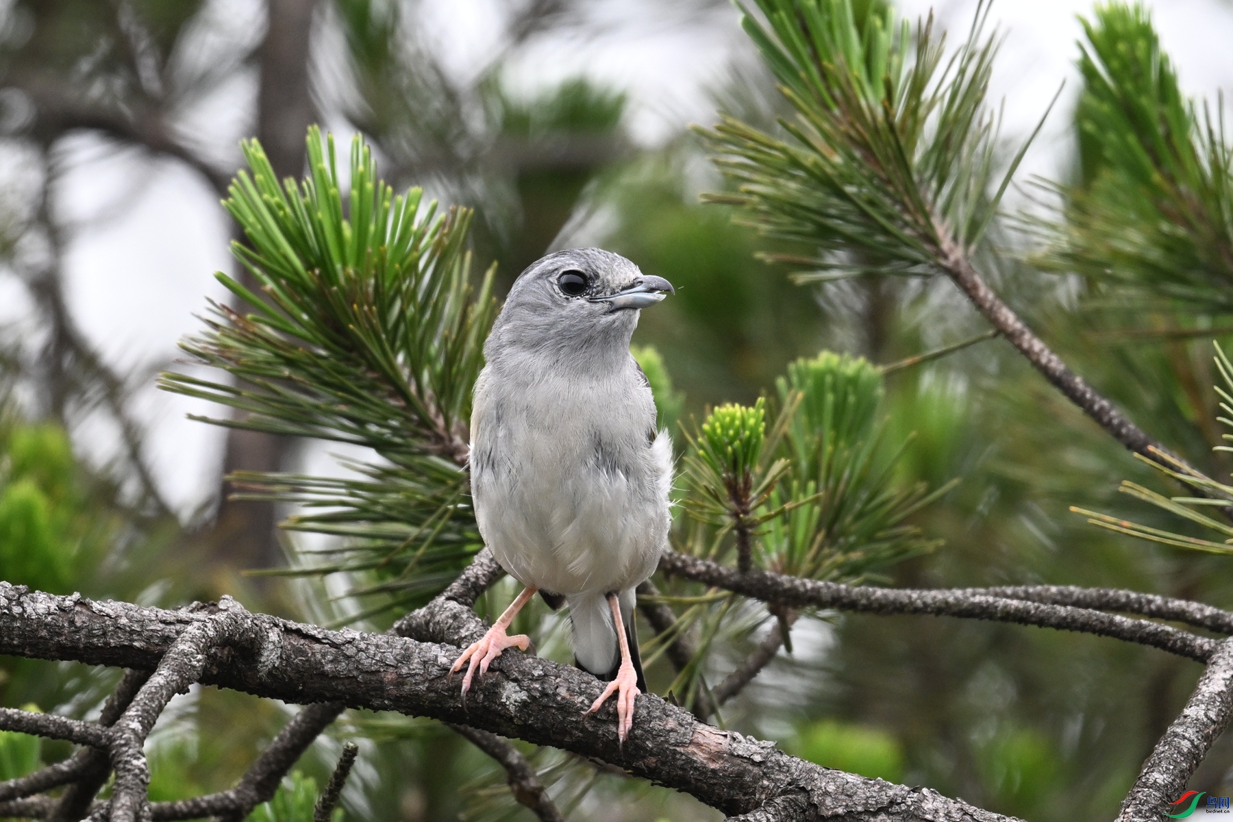 DSC_0742.JPG