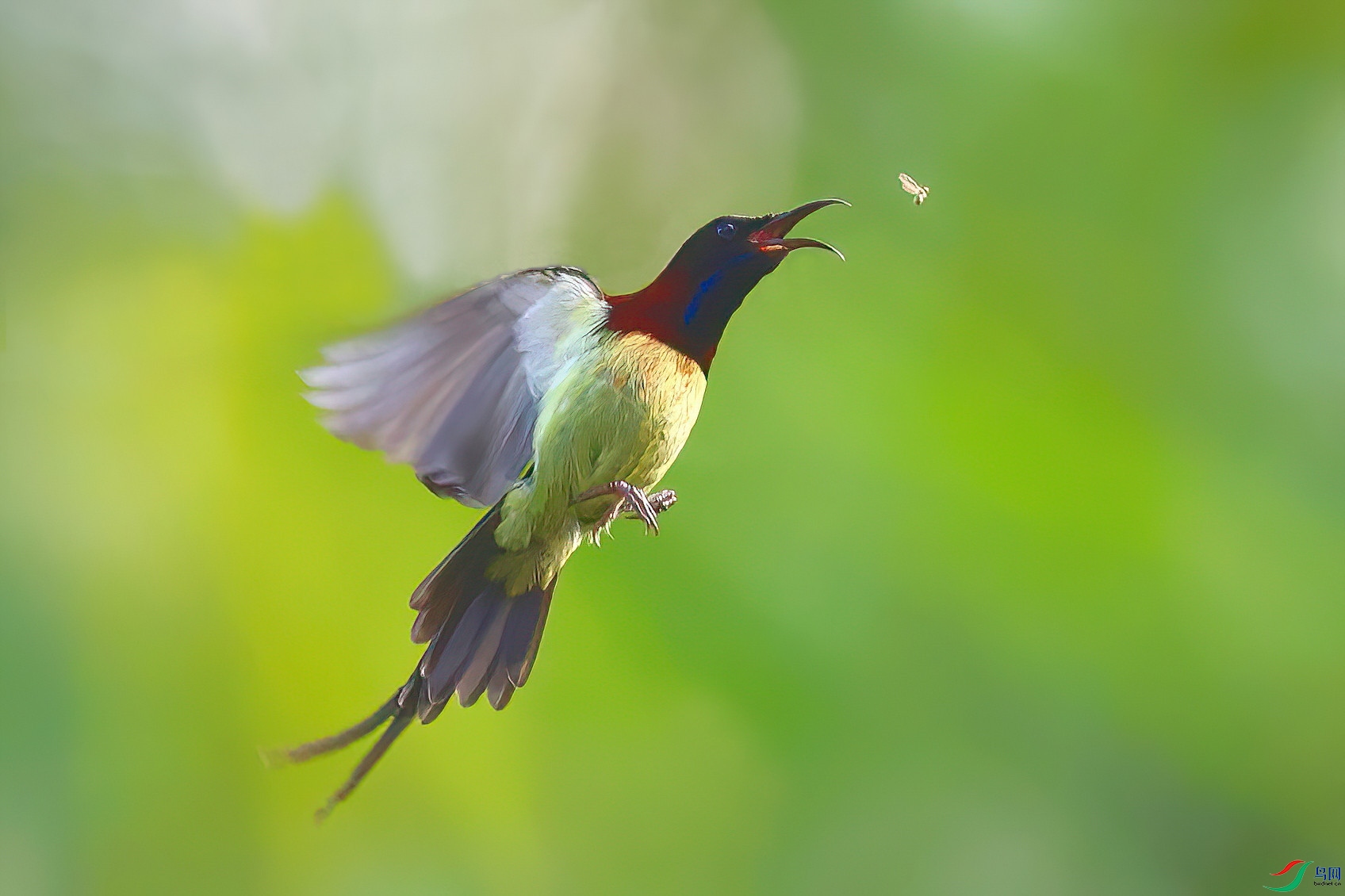 ����׽��