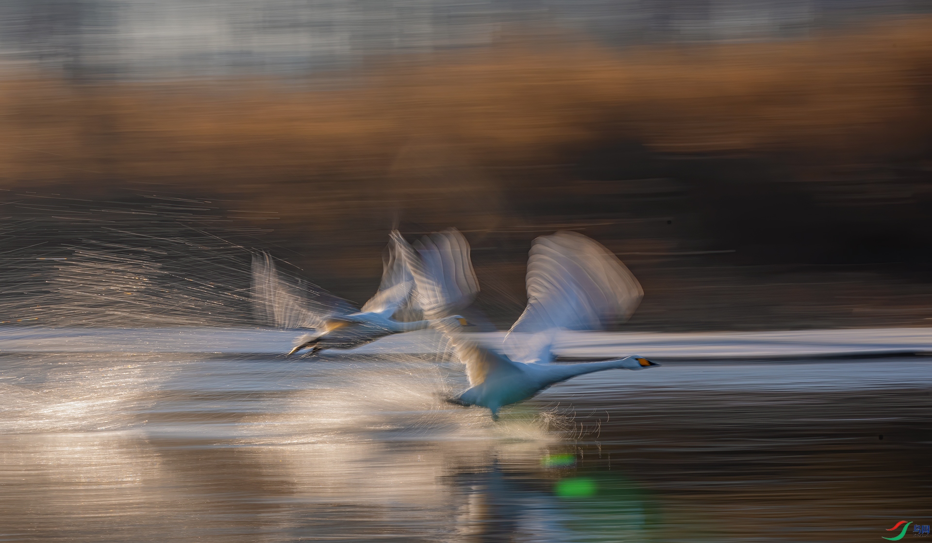 140.������ �������˺��� �貨���.jpg