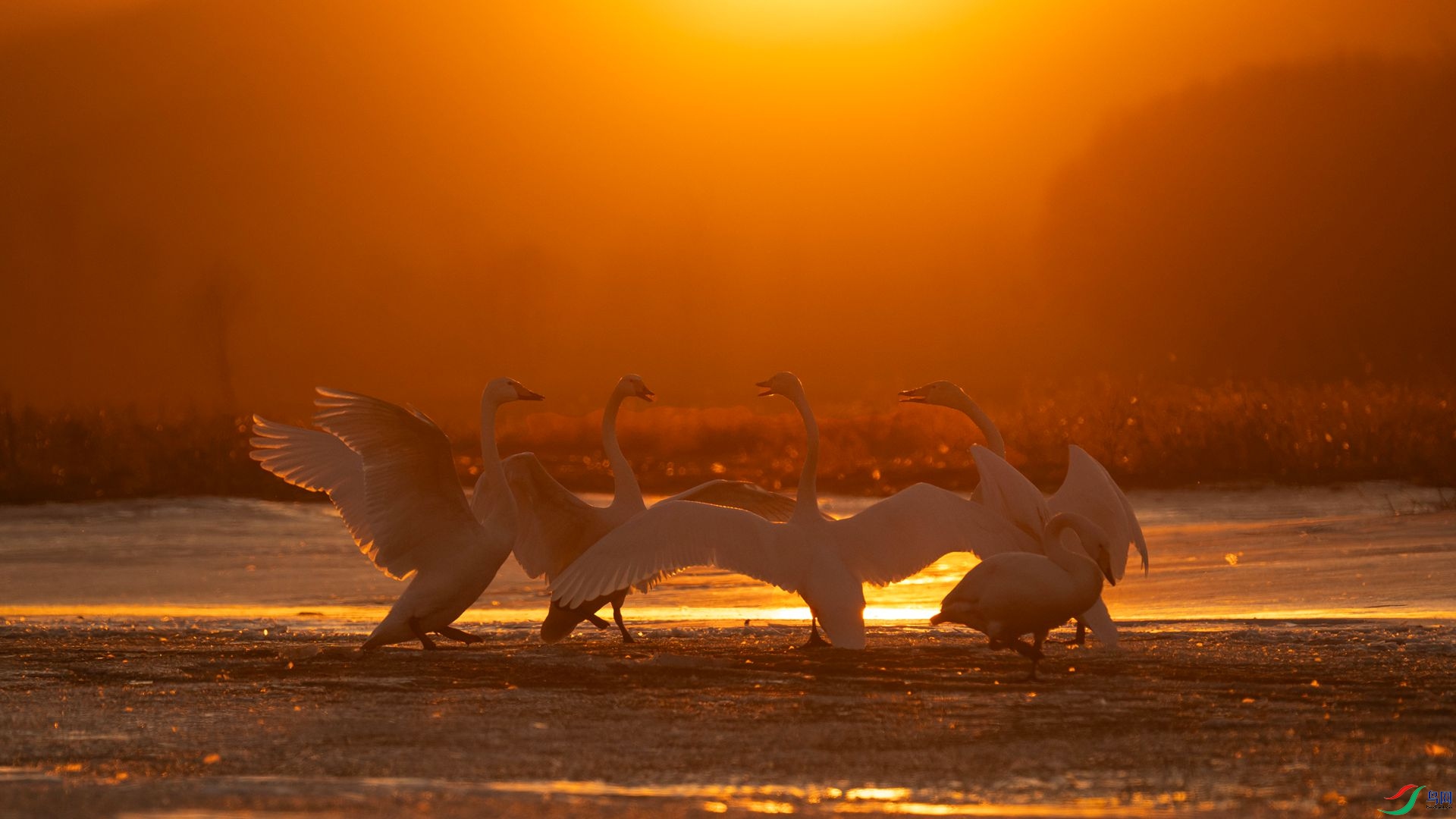 070.��Ʊ �Ķ� ����.jpg