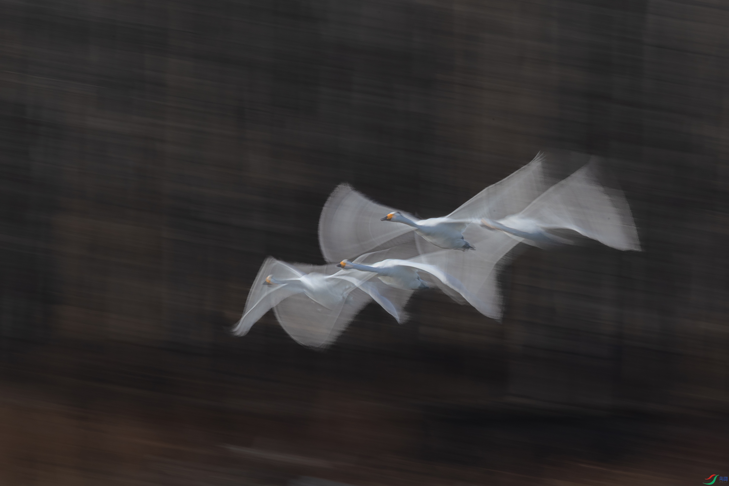 001.0H9A7362 (�������������� ���� Ʈ�ݾ���.jpg