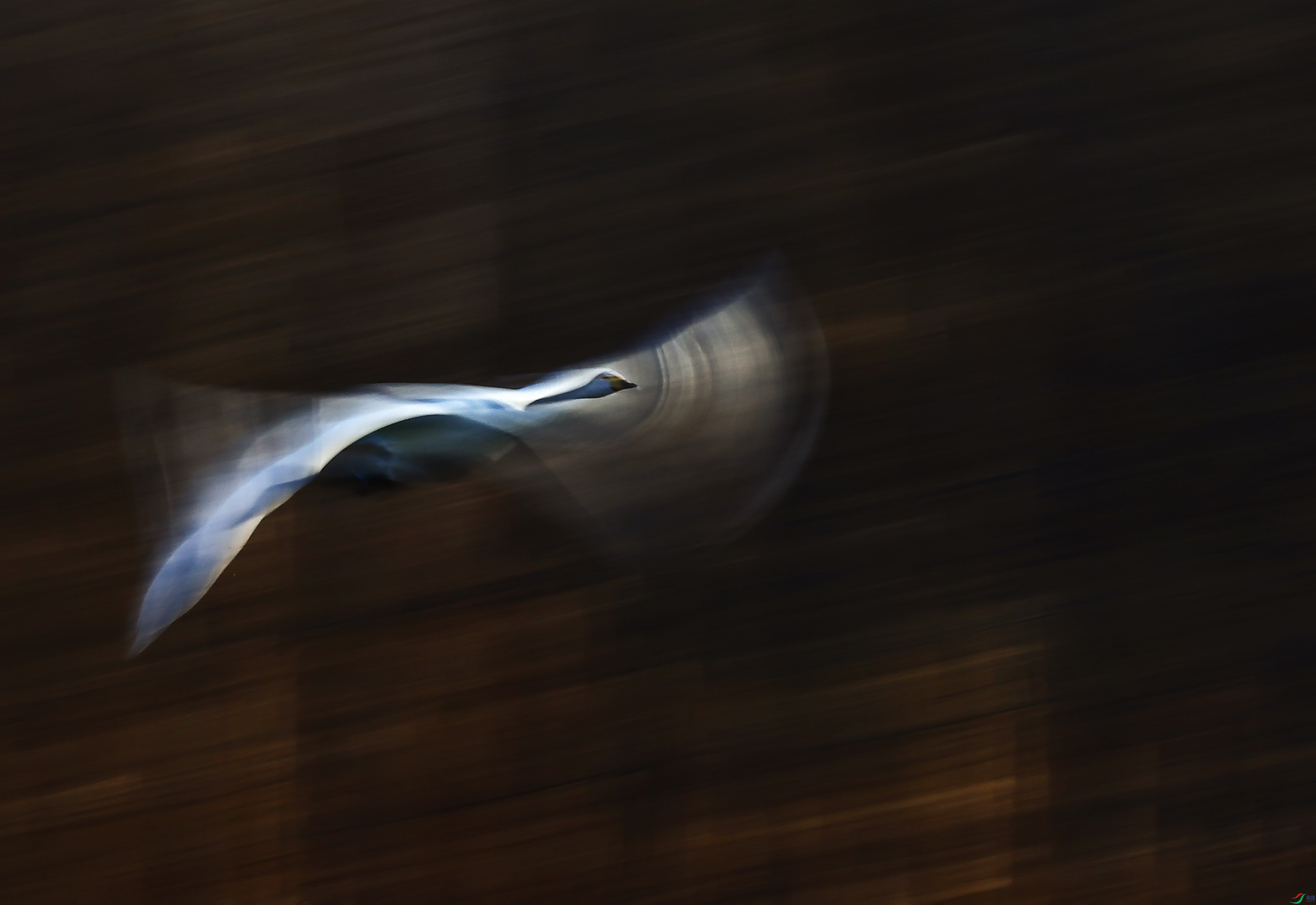 201.����1��-���ɽ�