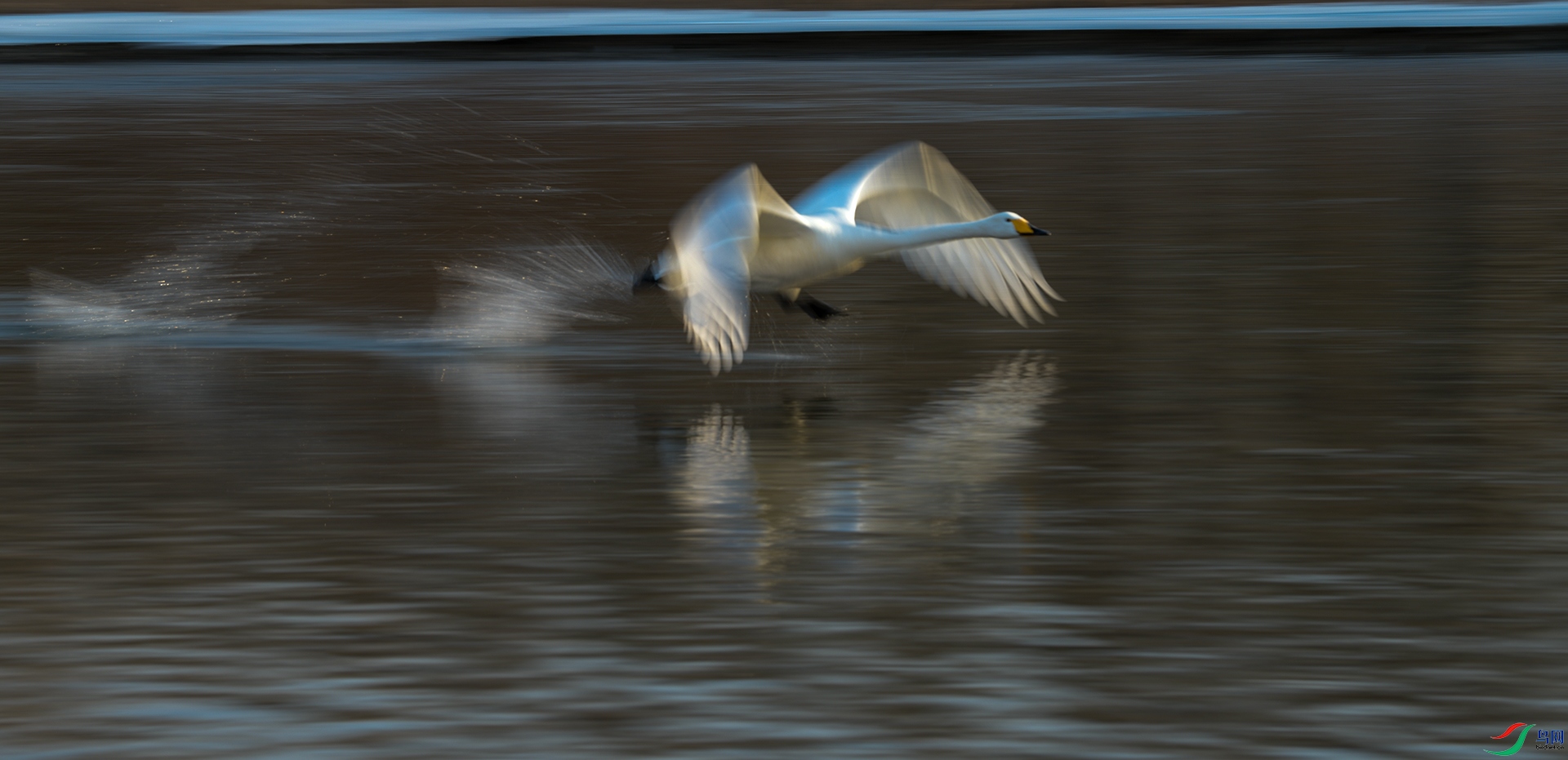 116.���д����� û��С��syj ���ַ���.jpg