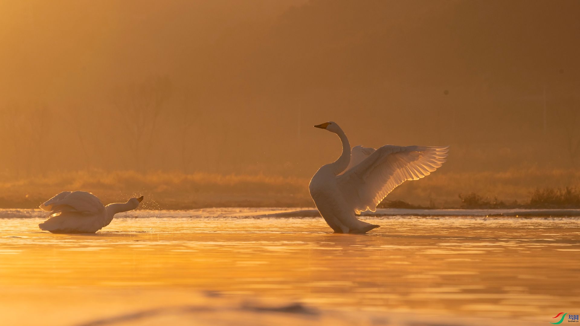 068.��Ʊ ҹ�� չ��.jpg