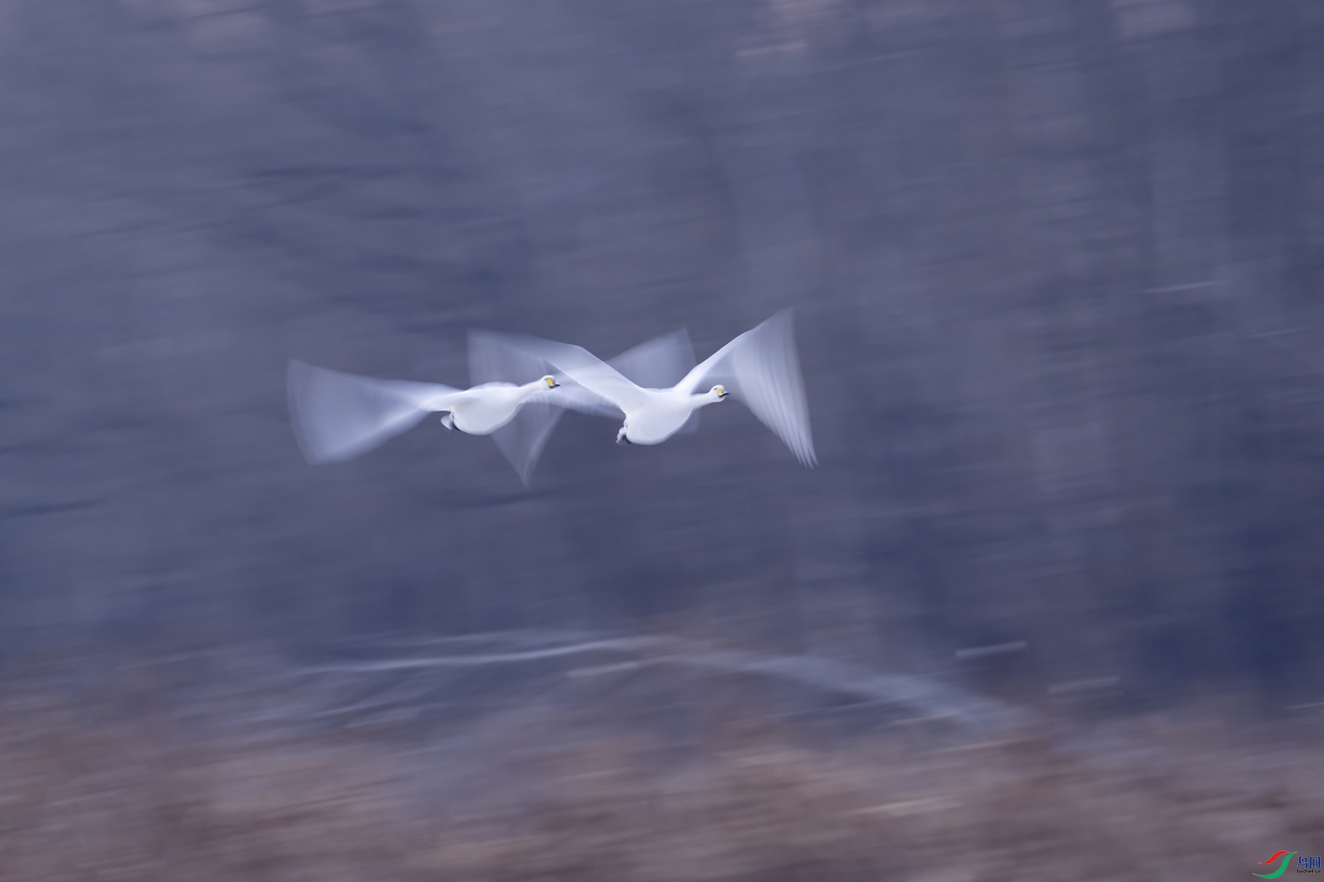 097.�������������� ������˪ �龳����.jpg