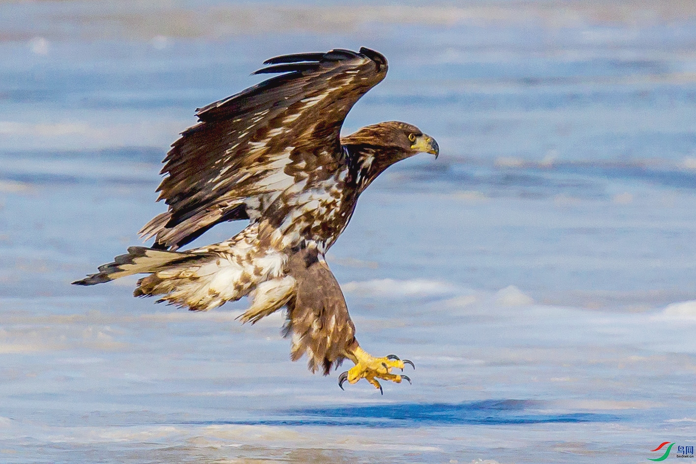 _MG_0718 ����.jpg