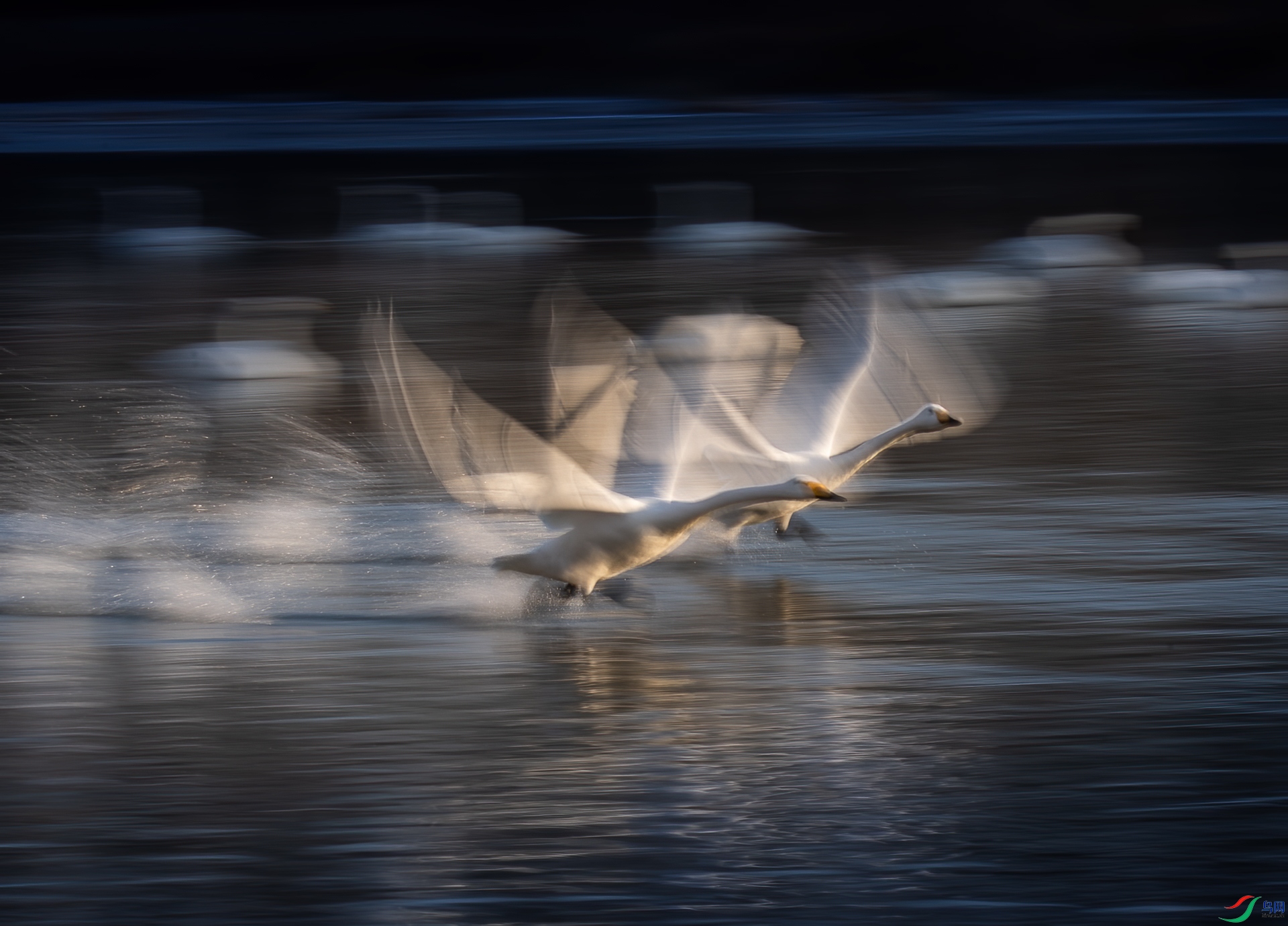 131.���� ���� �������.jpg