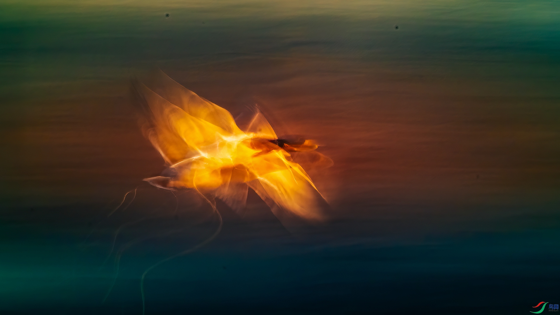 260.���� ������ �����Ӱ.jpg