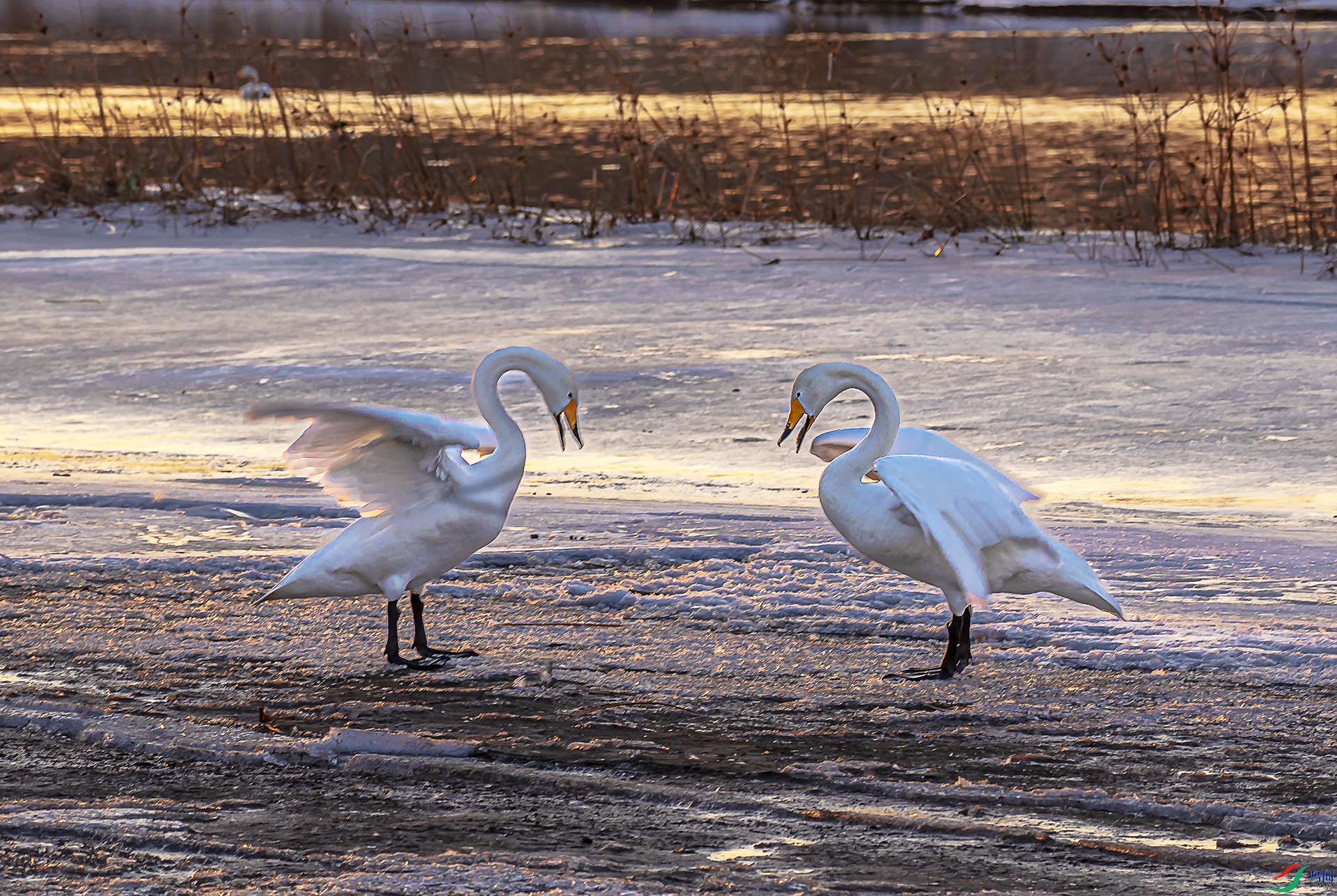 DSC04258 ����2 ���� ����.jpg