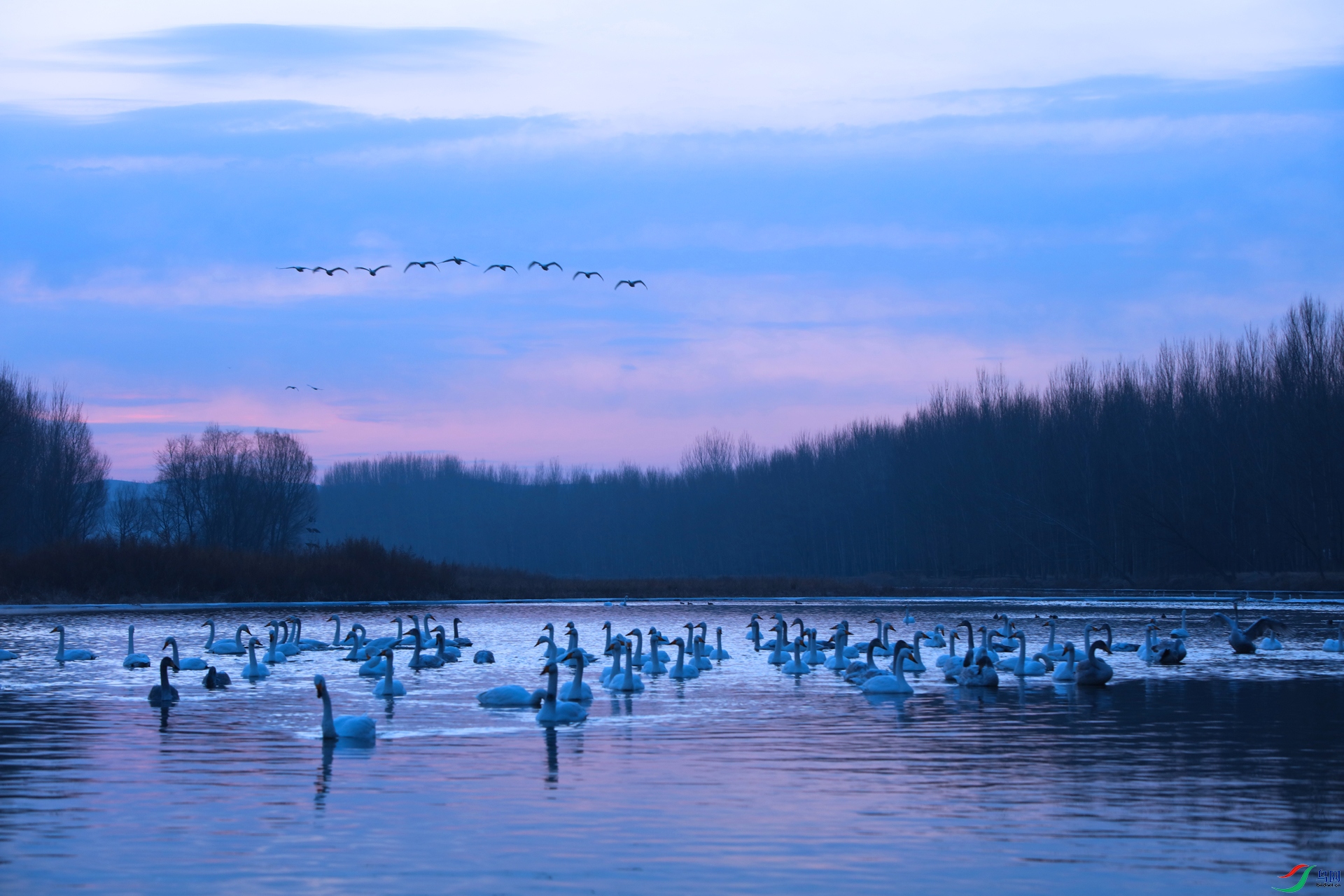 258.���� �⿡�� ����.jpg