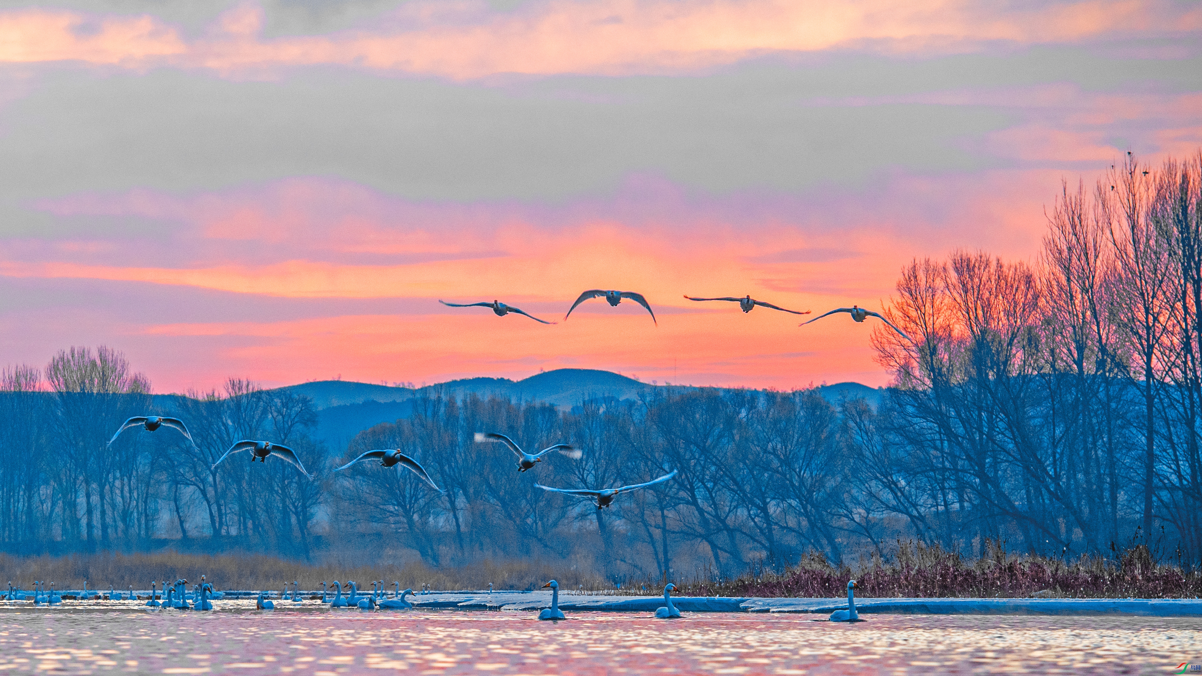 DSC_0368�������������� ��γ45 ��������.jpg