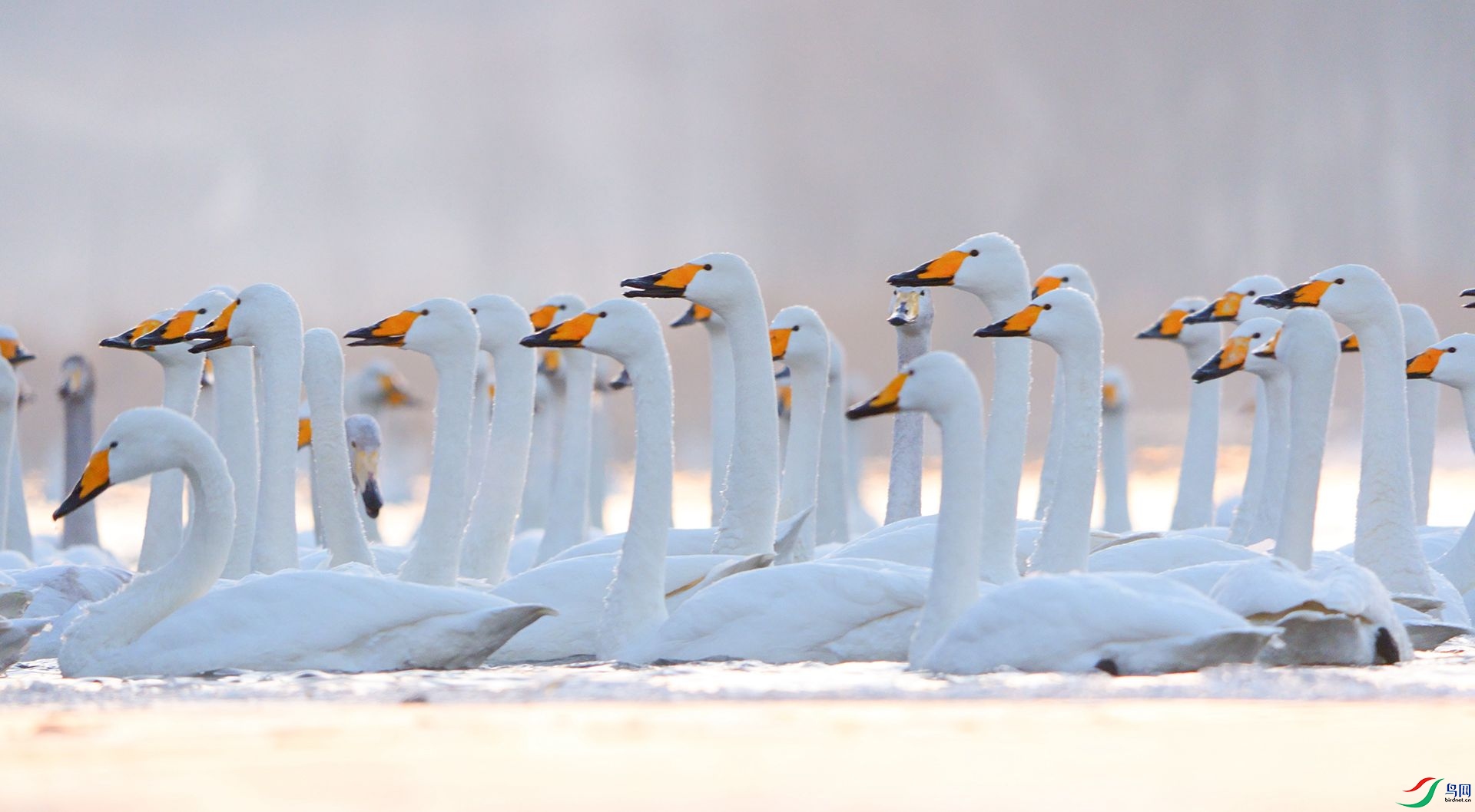 ��Ʊ ��� ��ǰ��.jpg