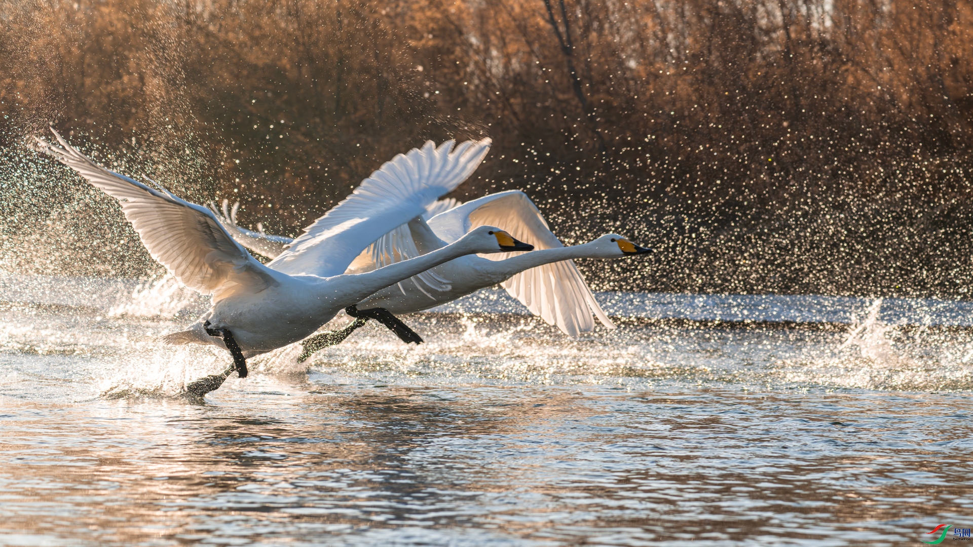 �������������� ����֮�� ��ͷ����.jpg