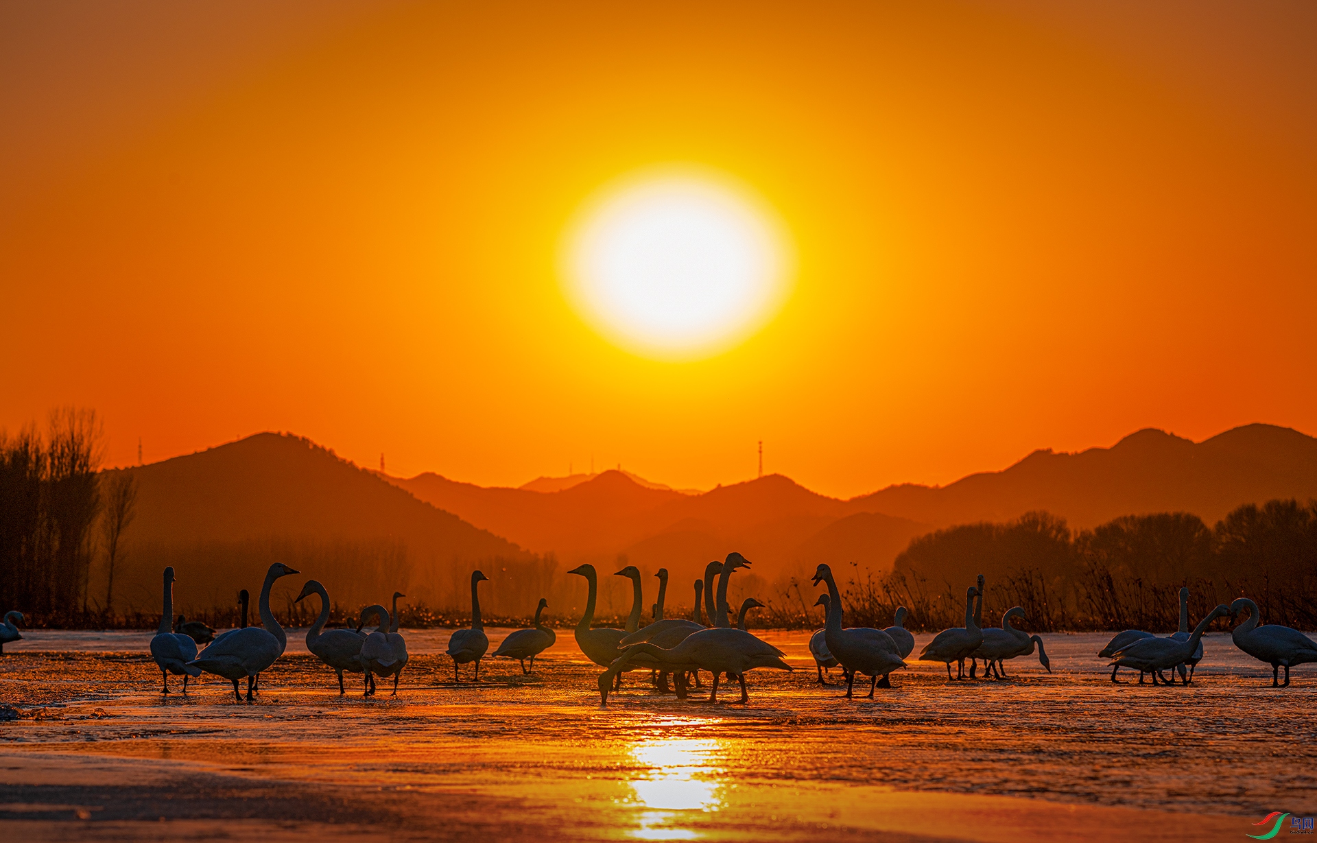 ������ �������� ϼӳȺ��.jpg