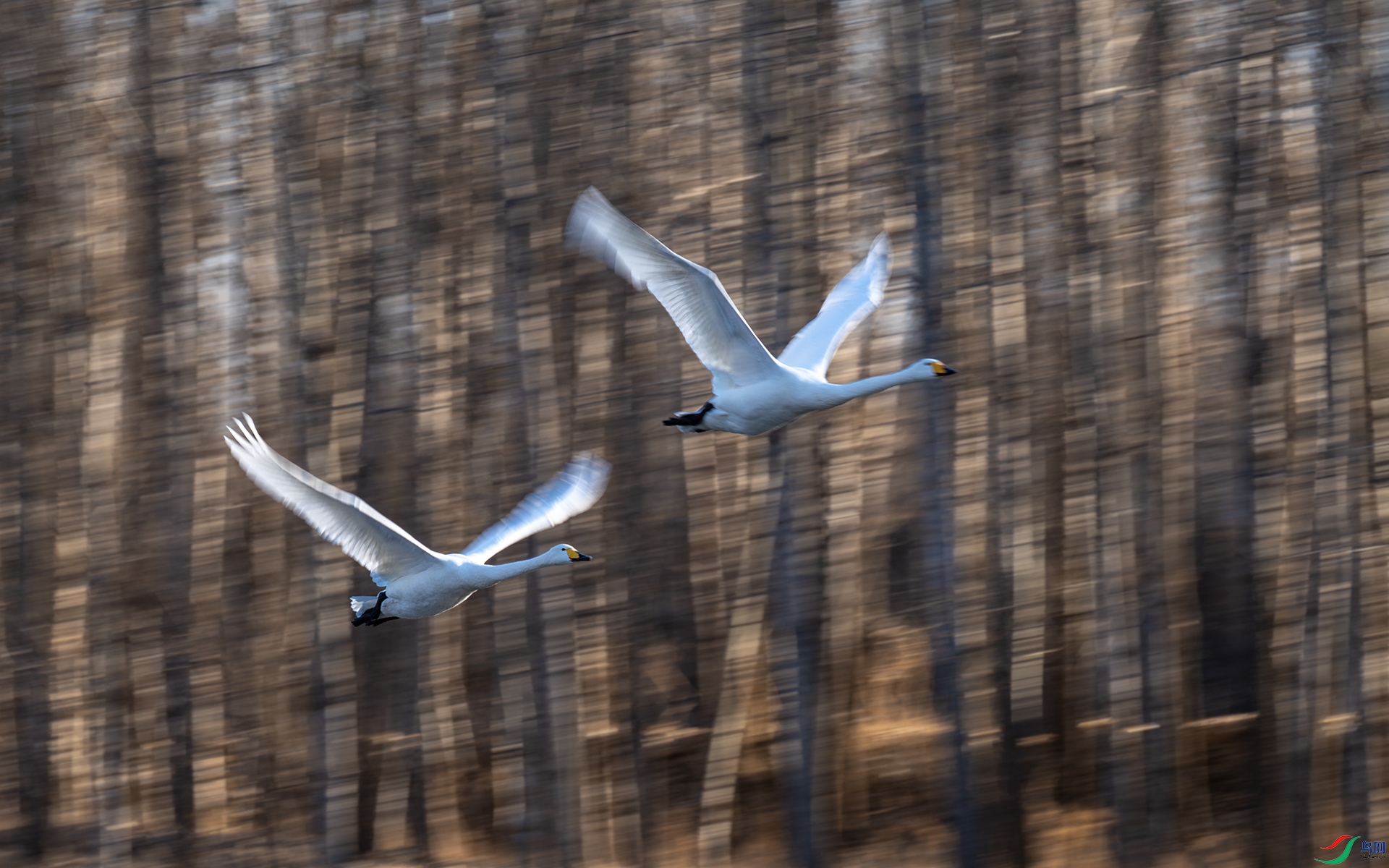 �������������� ���� ��Ӱ���.jpg