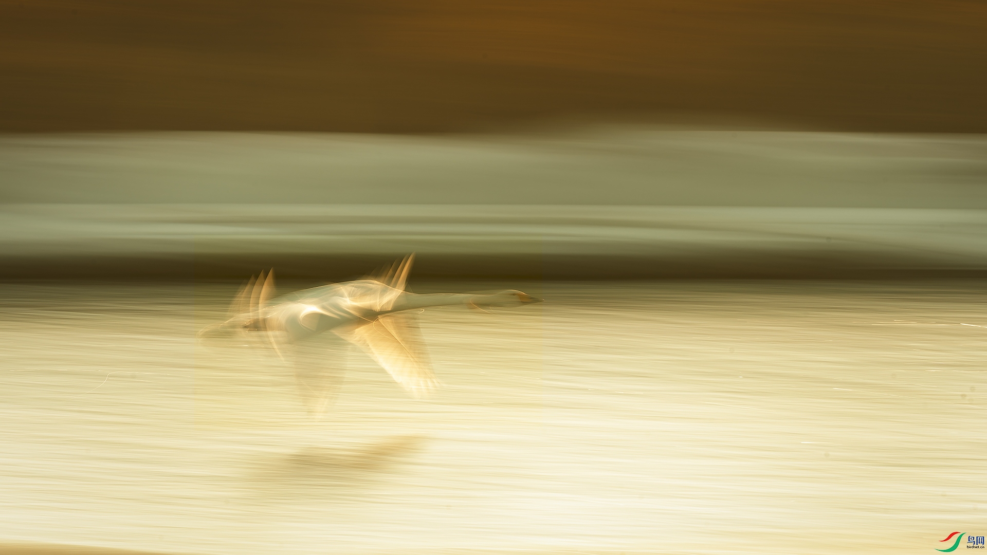 �������������� ���� ����Ӱ.jpg