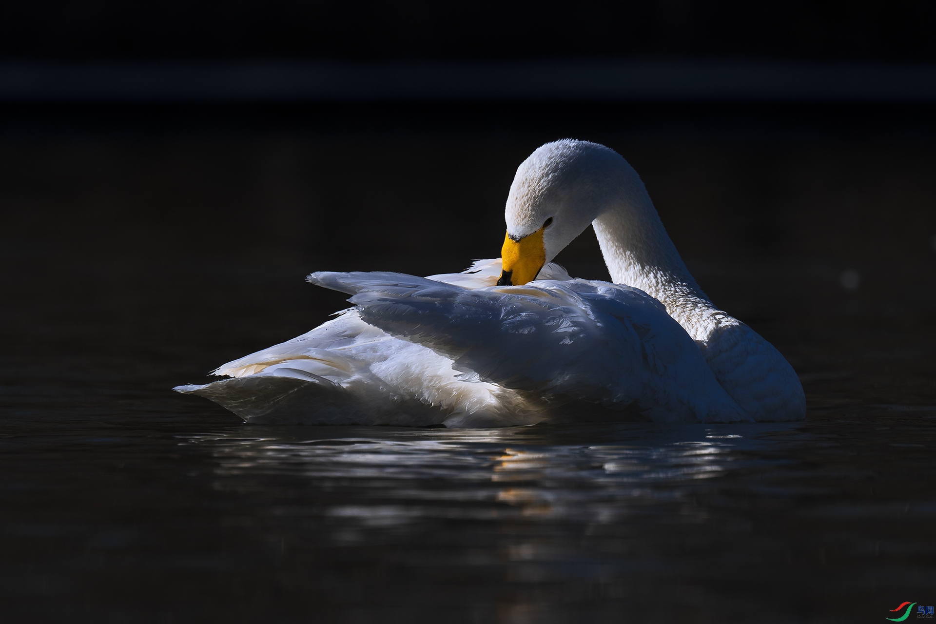 ���� ������ʿ ��ױ.jpg