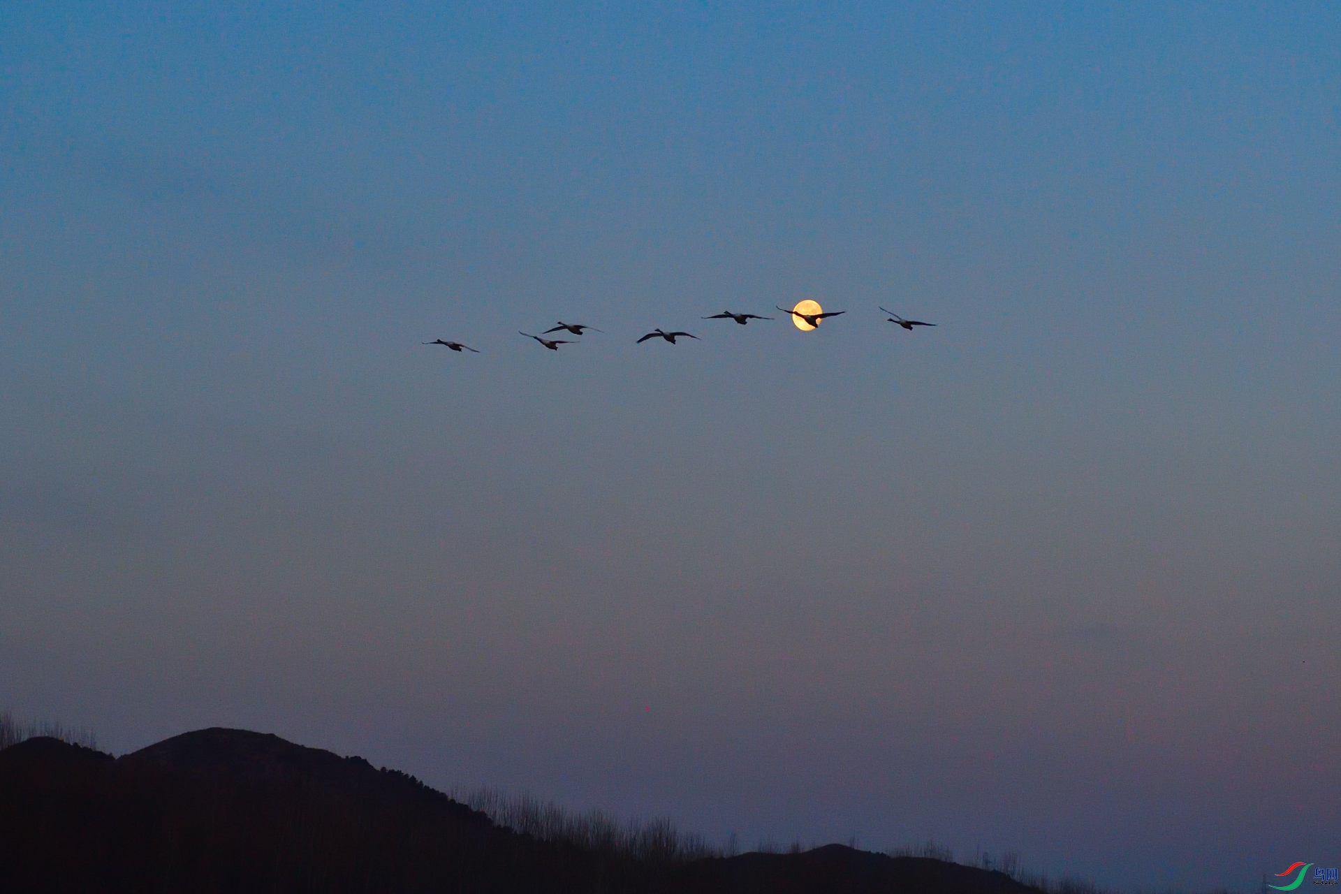 ���ϵ��������� С�� ����.JPG