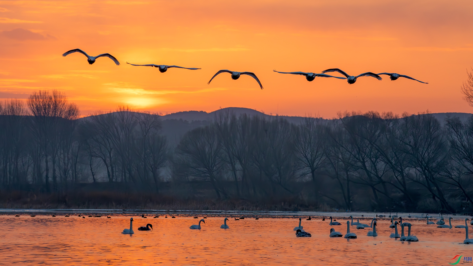 ���д����� �ڻ�  ���������.jpg