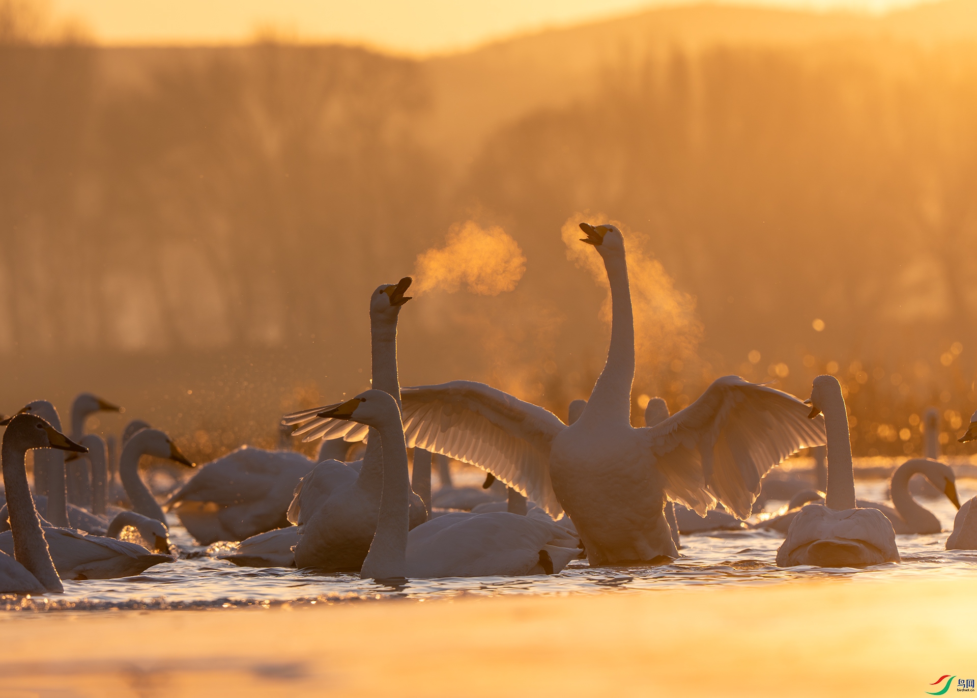 ����2������ �Ǻ� �̹�����.jpg