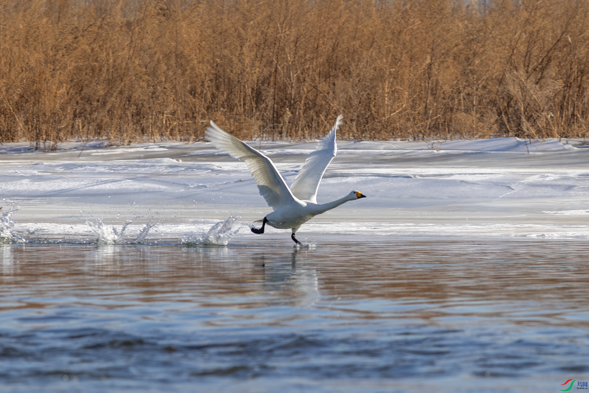 ����2�� Ұâ ��̤ˮ��.jpg