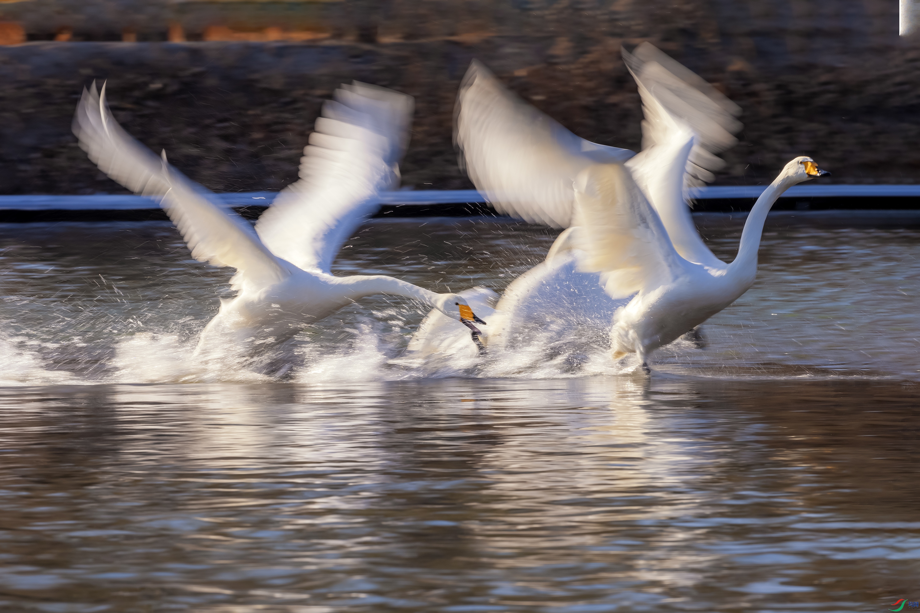 ���ᣨ1�������� ��֮Ӱ �������Ľ��桷2E9A5773 -3.jpg