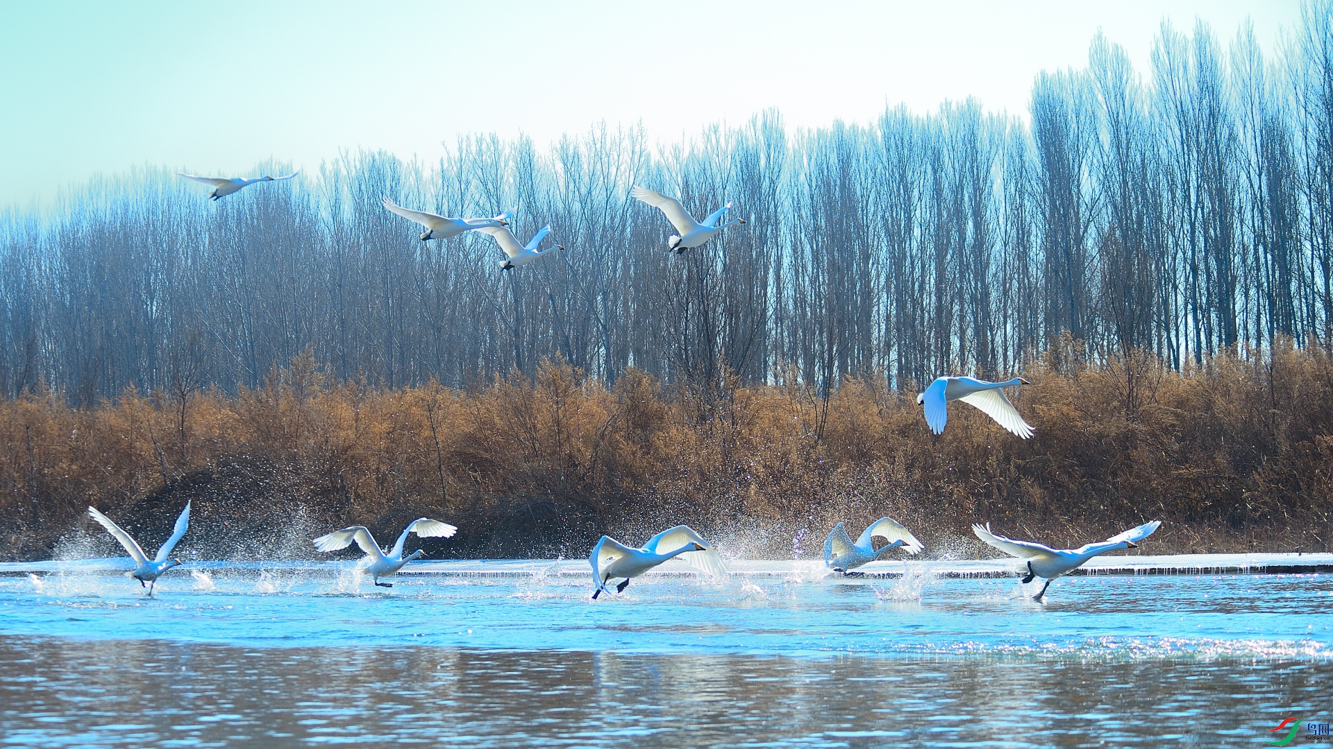 ������ �ನ ����.JPG