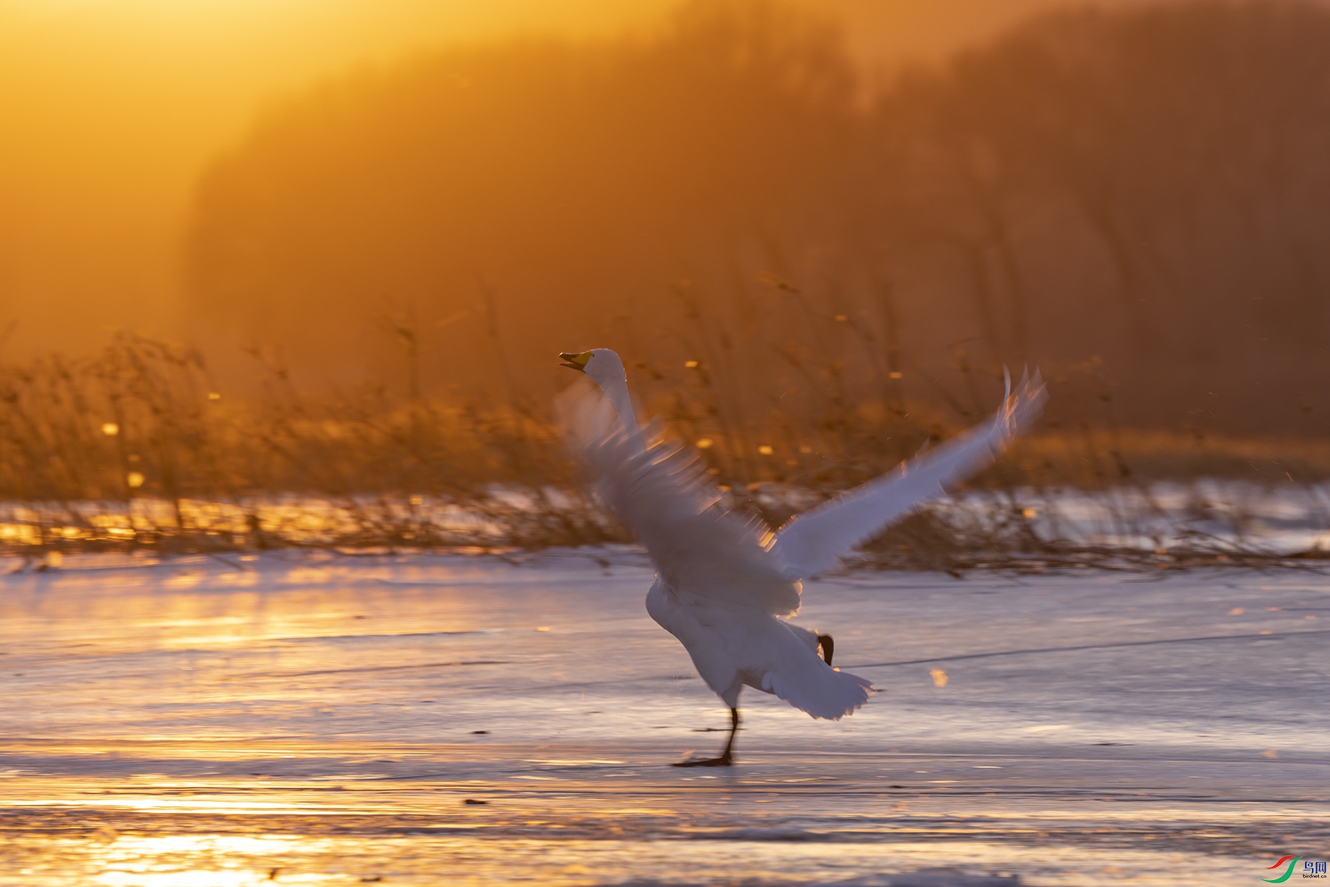 ���ϵ��������� �������� ������.jpg