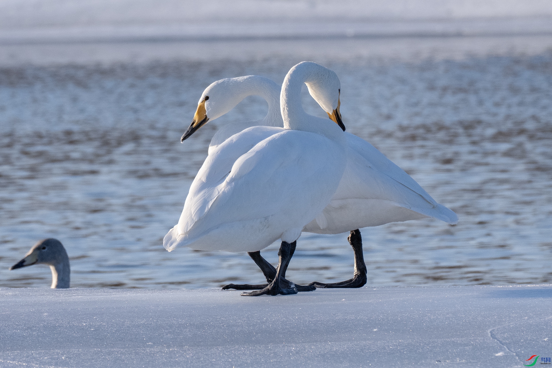 ���ϵ��������� ���� ��ӵ.jpg