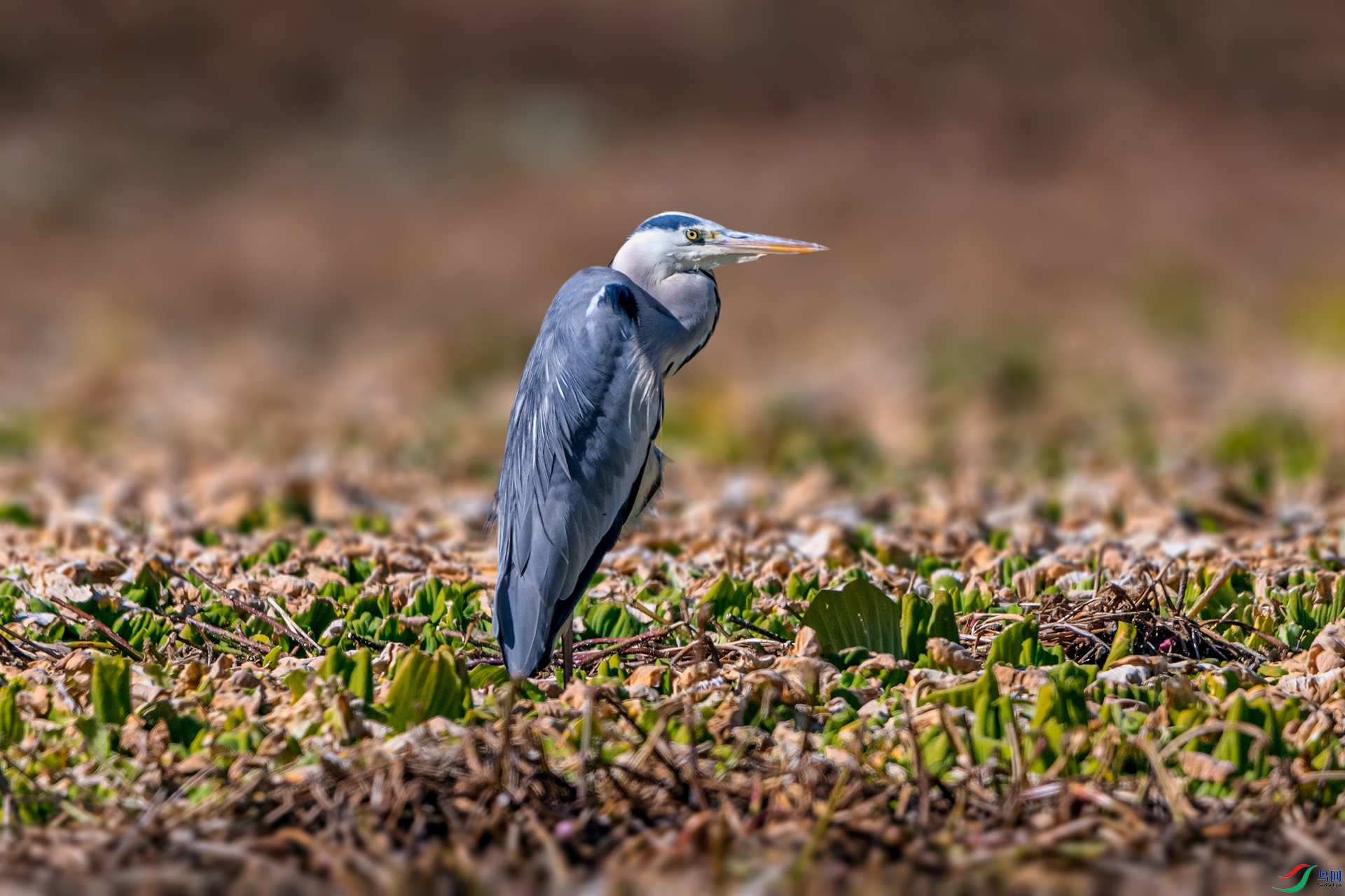 _AUU3253 ����(25.12.10).jpg