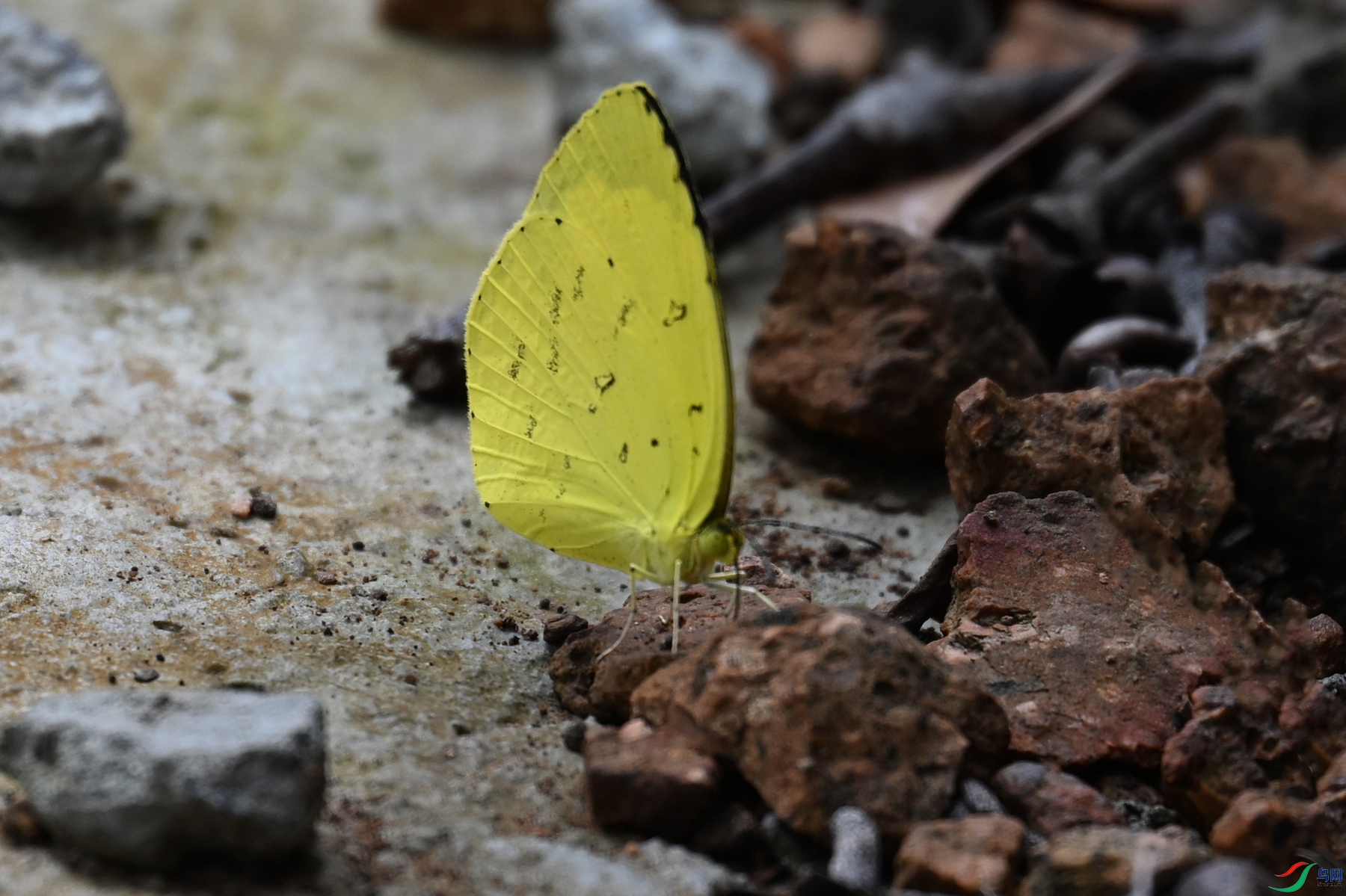 DSC_1612.JPG