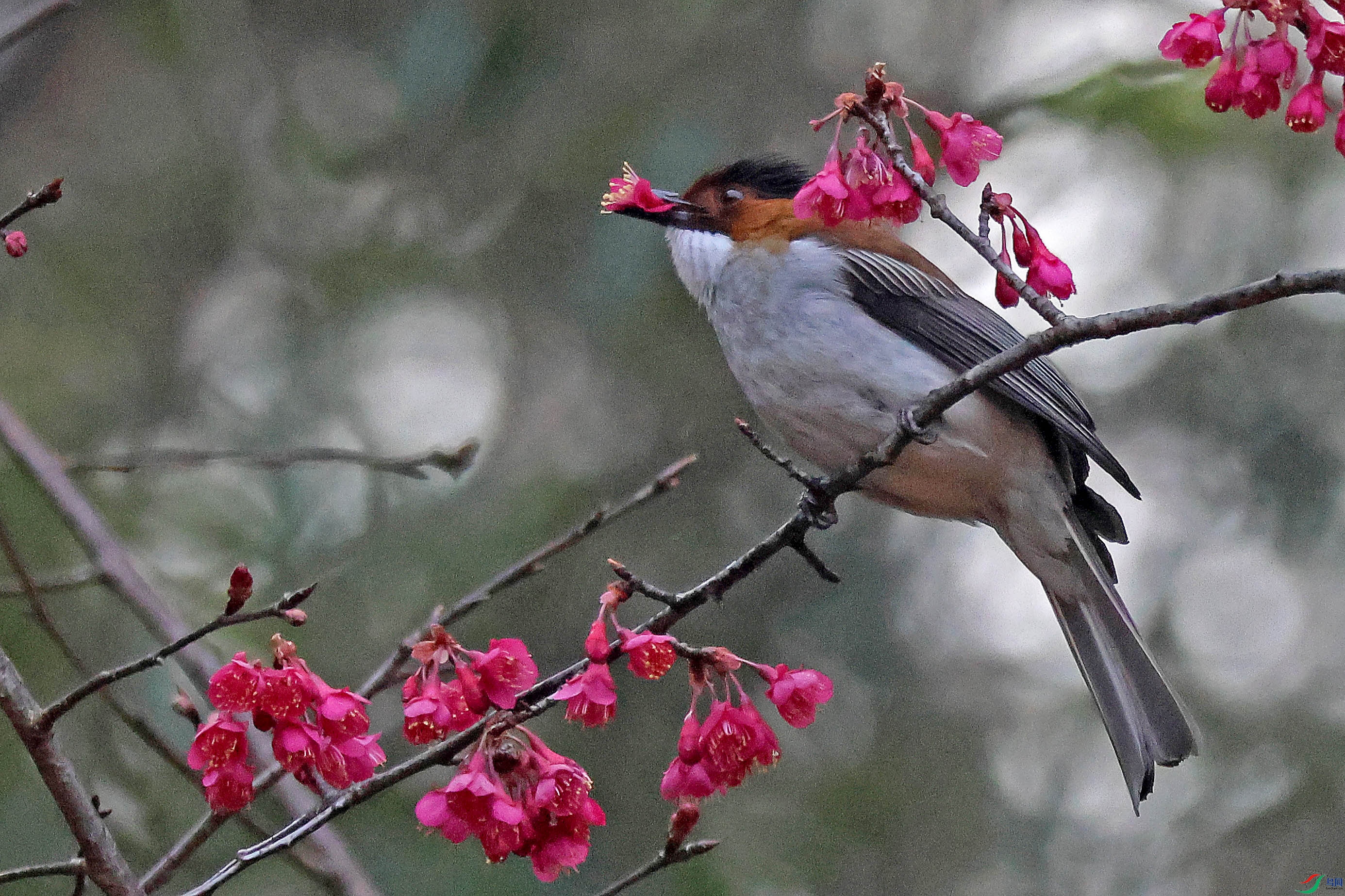 2G9A0044.JPG