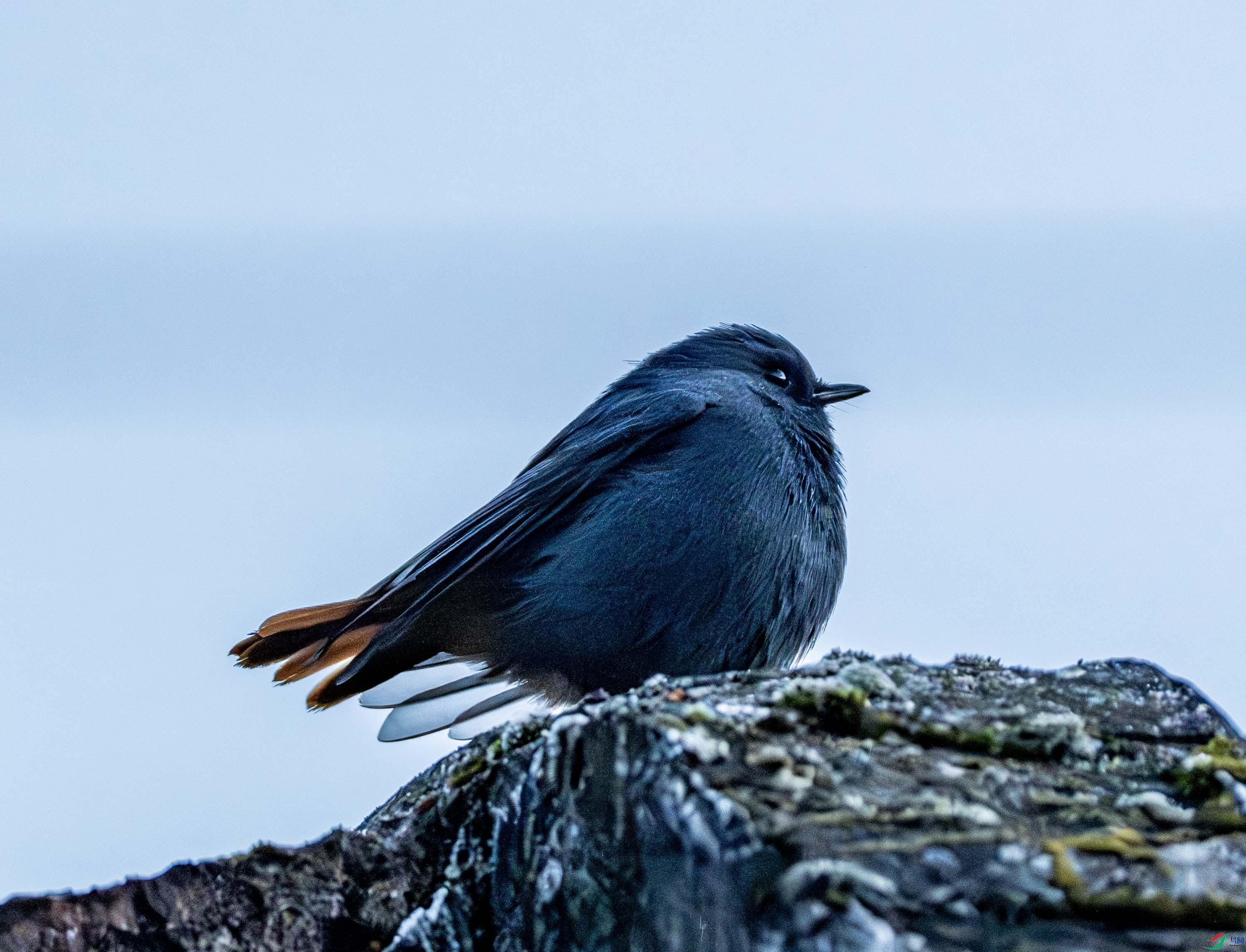 ��βˮ�-01-3 (1).jpg