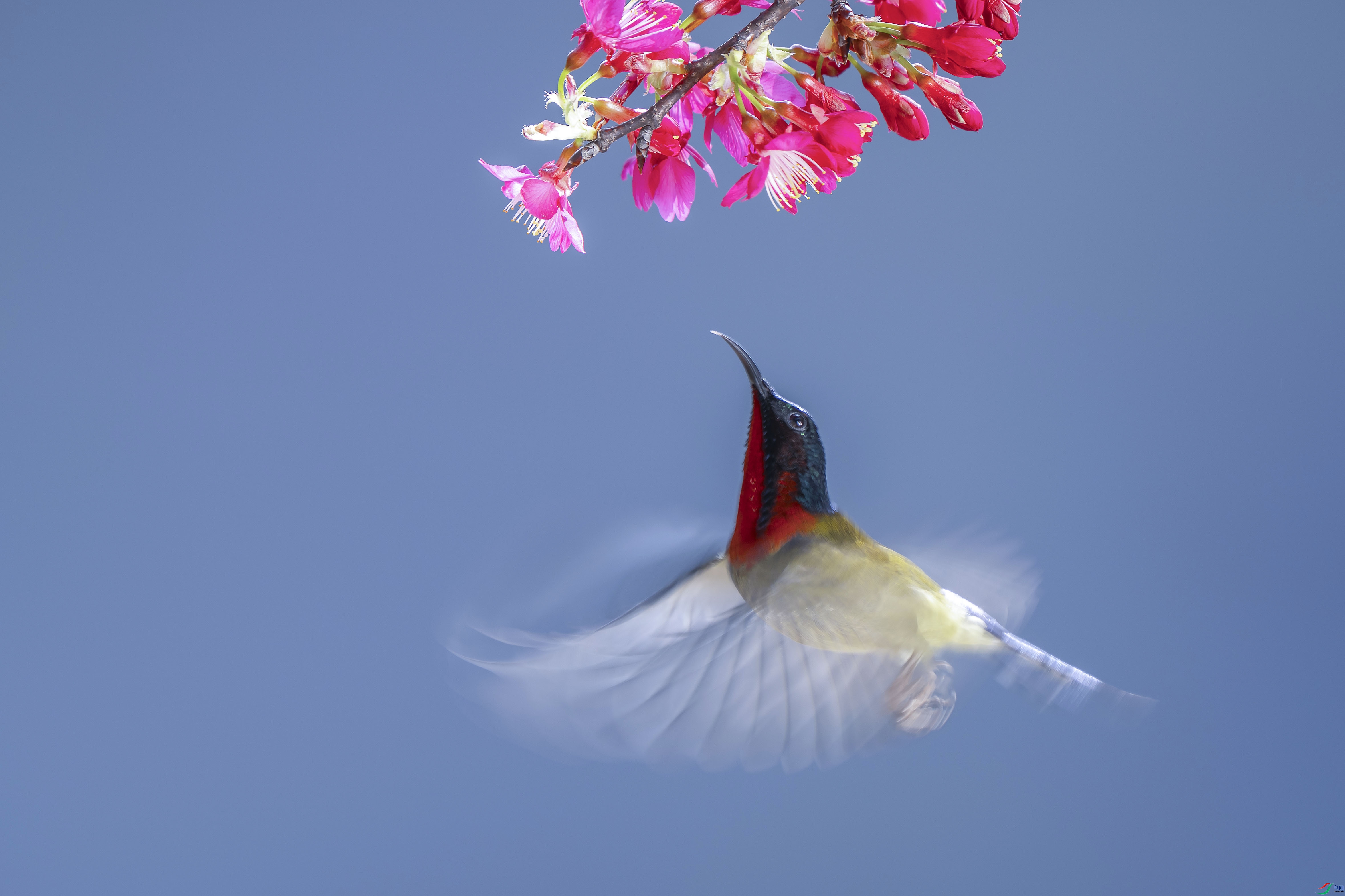 _DSC3427 ���� 2.jpg