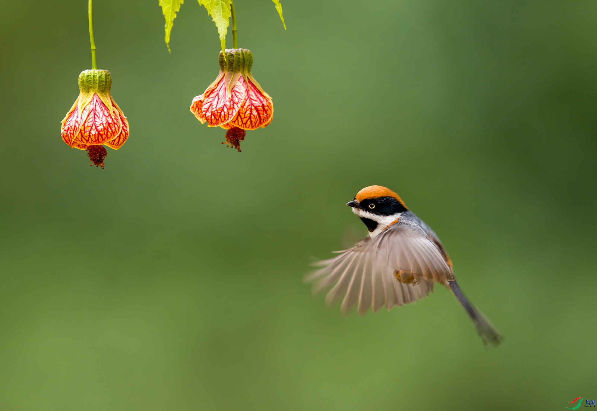 DSC03279 ����-topaz_����.jpg